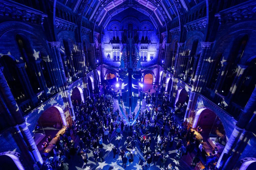 Corporate christmas party at the Natural History Museum