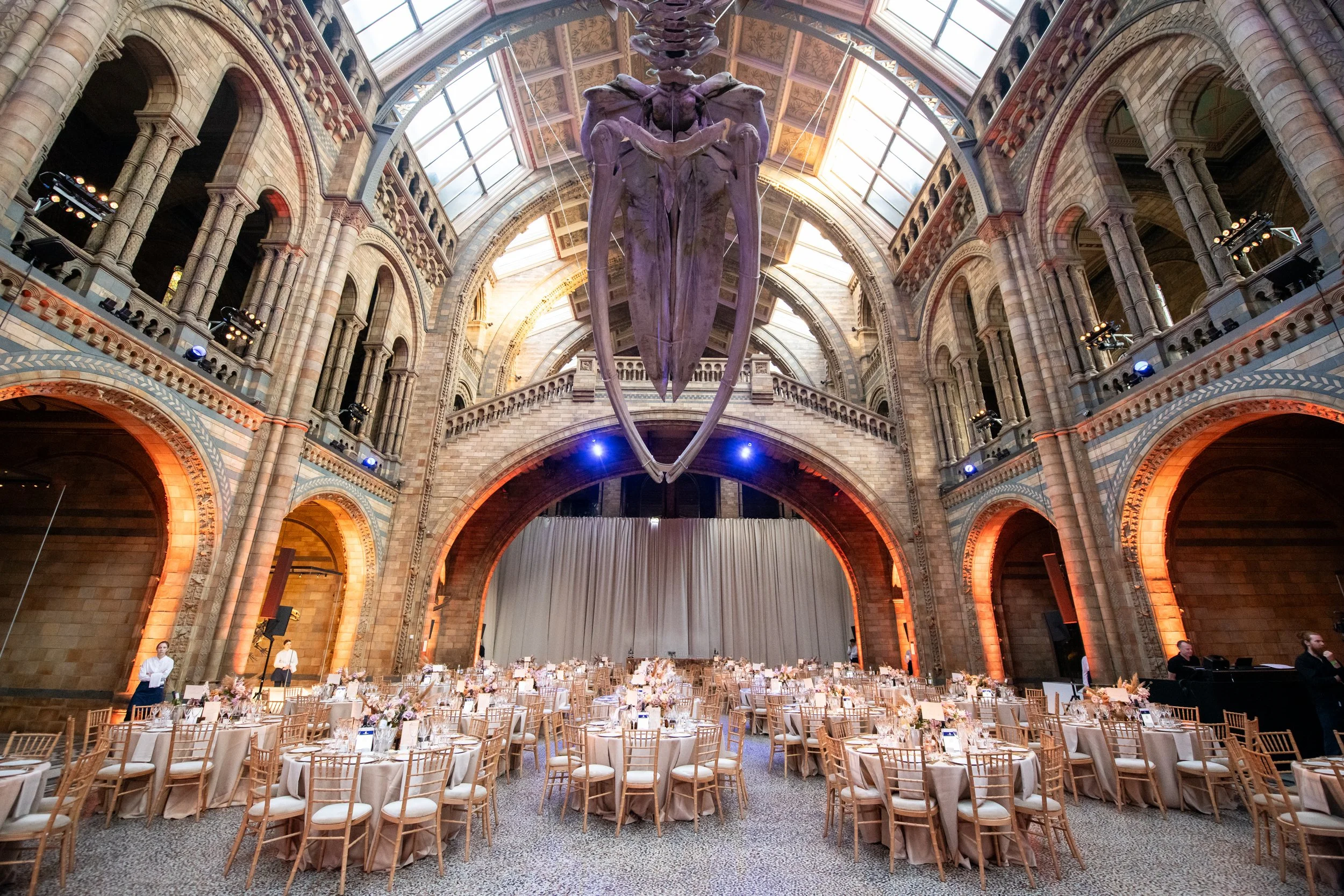 Charity gala in Hintze Hall at the Natural History Museum