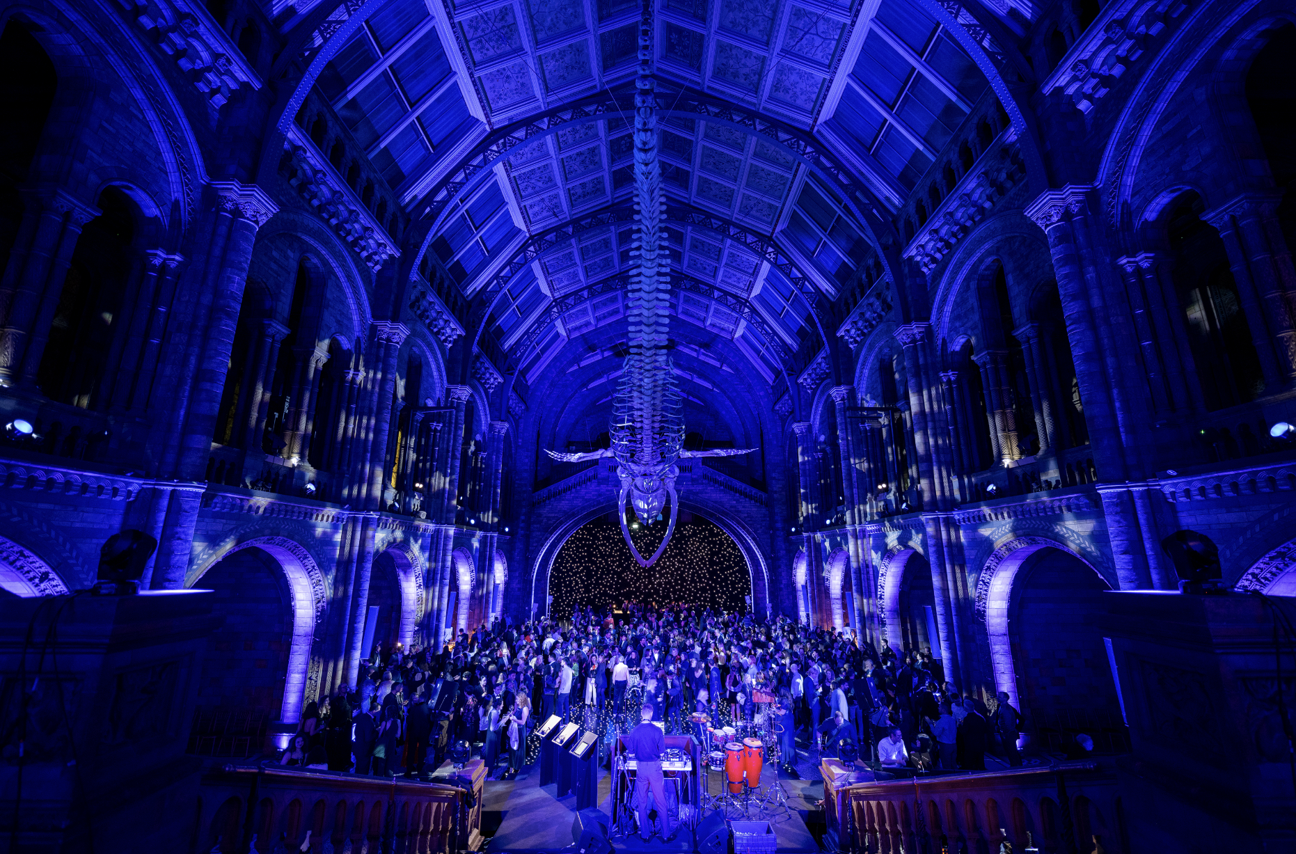 A private party at the natural history museum