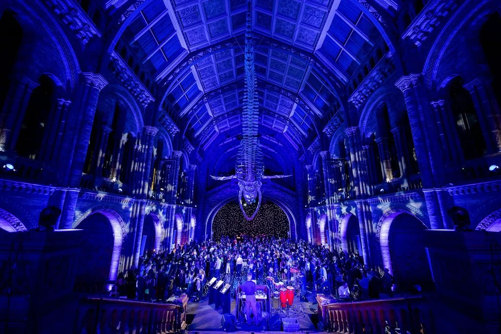 Corporate Party at the Natural History Museum