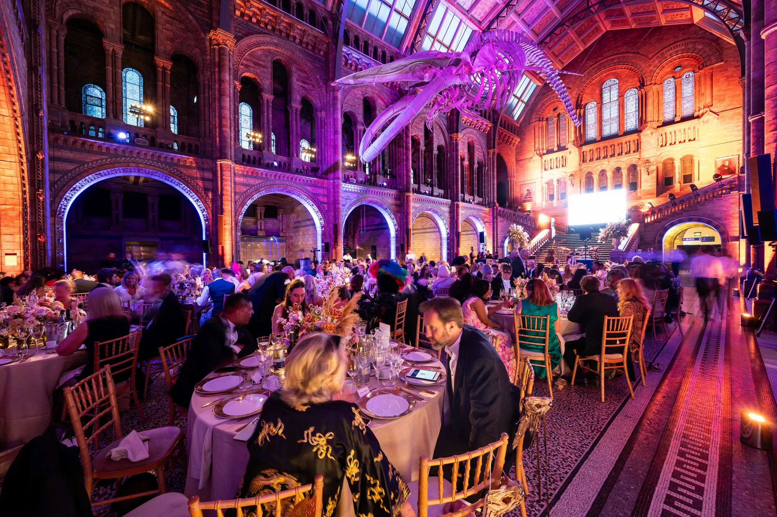 A gala dinner in Hintze Hall at the Natural History Museum