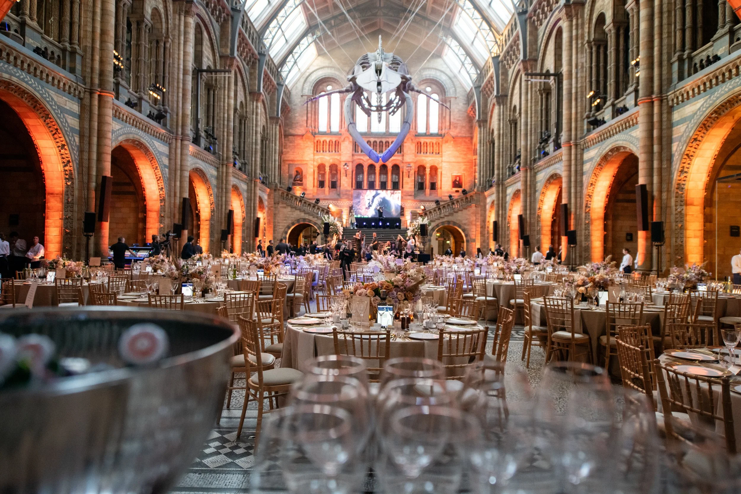 Charity gala in Hintze Hall at the Natural History Museum