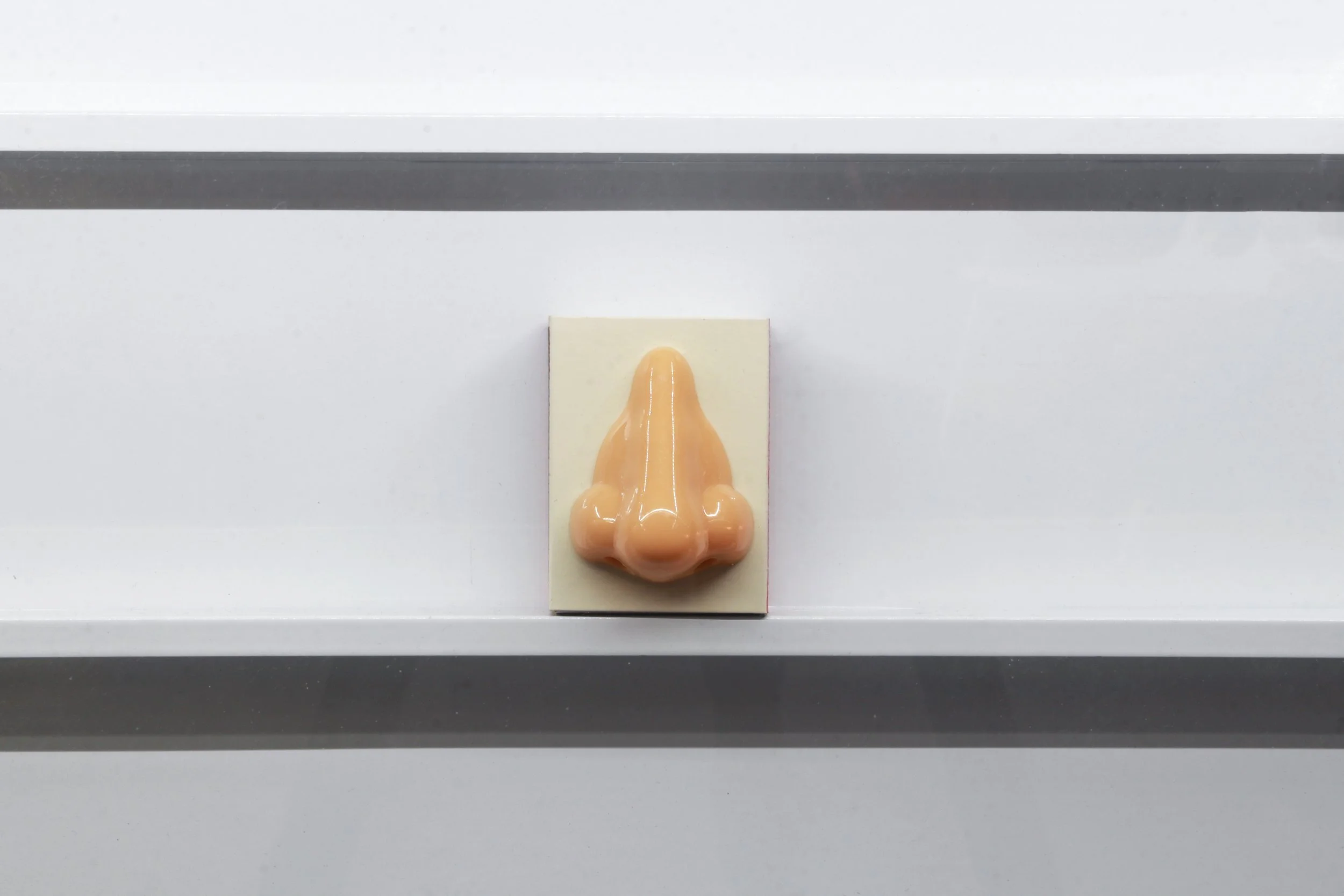 Darcey Bella Arnold.jpg