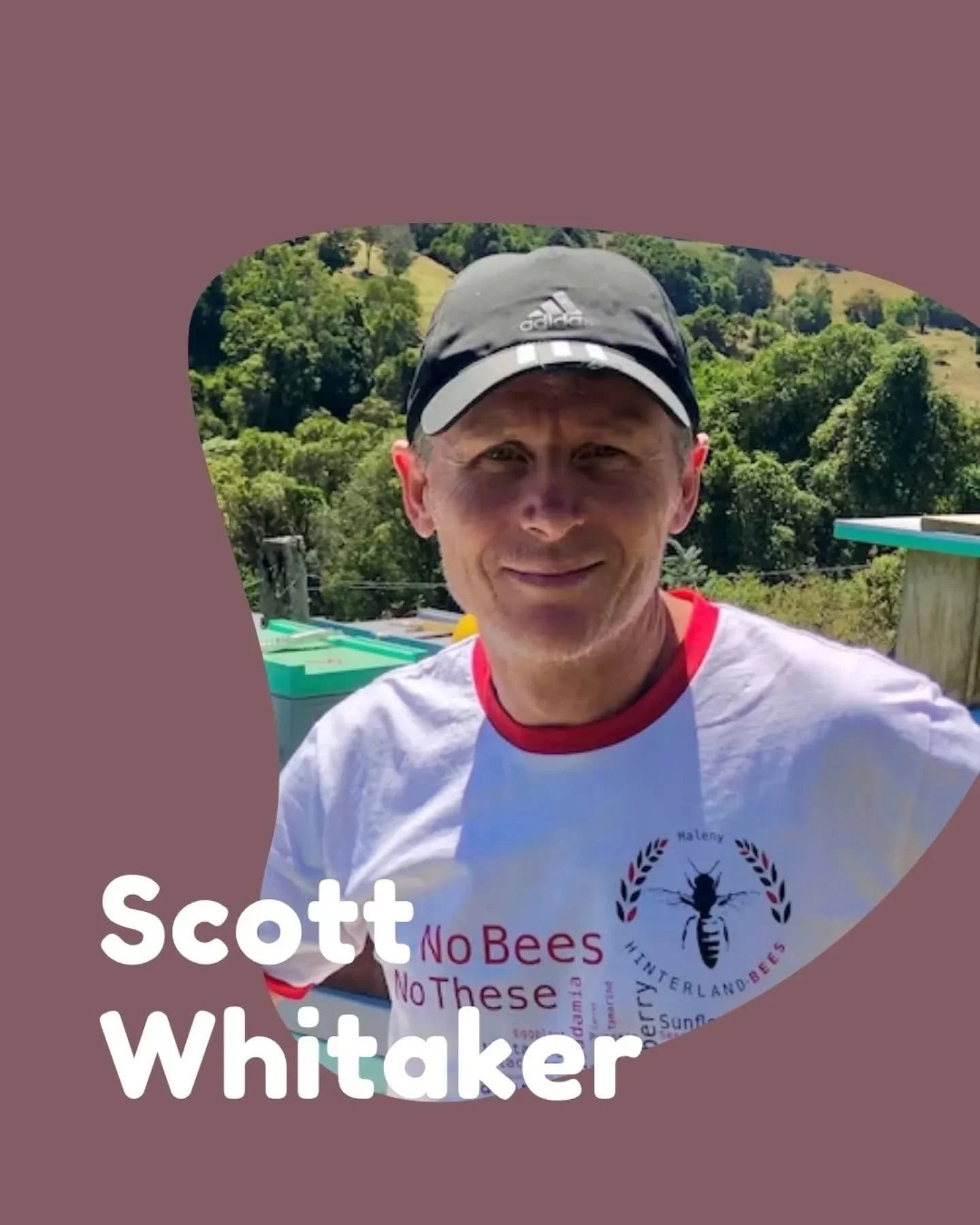 Scott Whitaker is a visual artist and former art gallery owner who now runs @hinterlandbees. They got their first hive back in 1996, and now manage more than 250 of them across orchards and rainforests in the Sunshine Coast Hinterland.

Scott produce