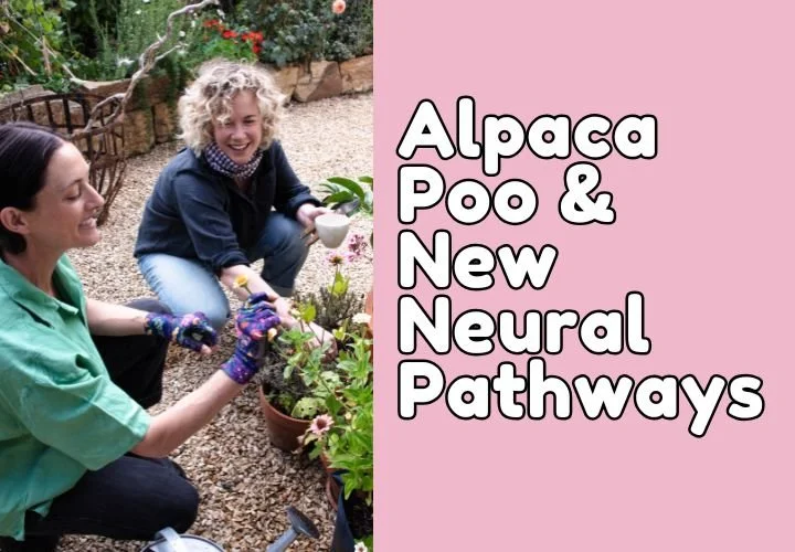 Episode 46: Alpaca Poo and New Neural Pathways