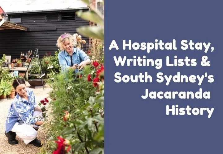 Episode 50: A Hospital Stay, Writing Lists &amp; South Sydney's Jacaranda History