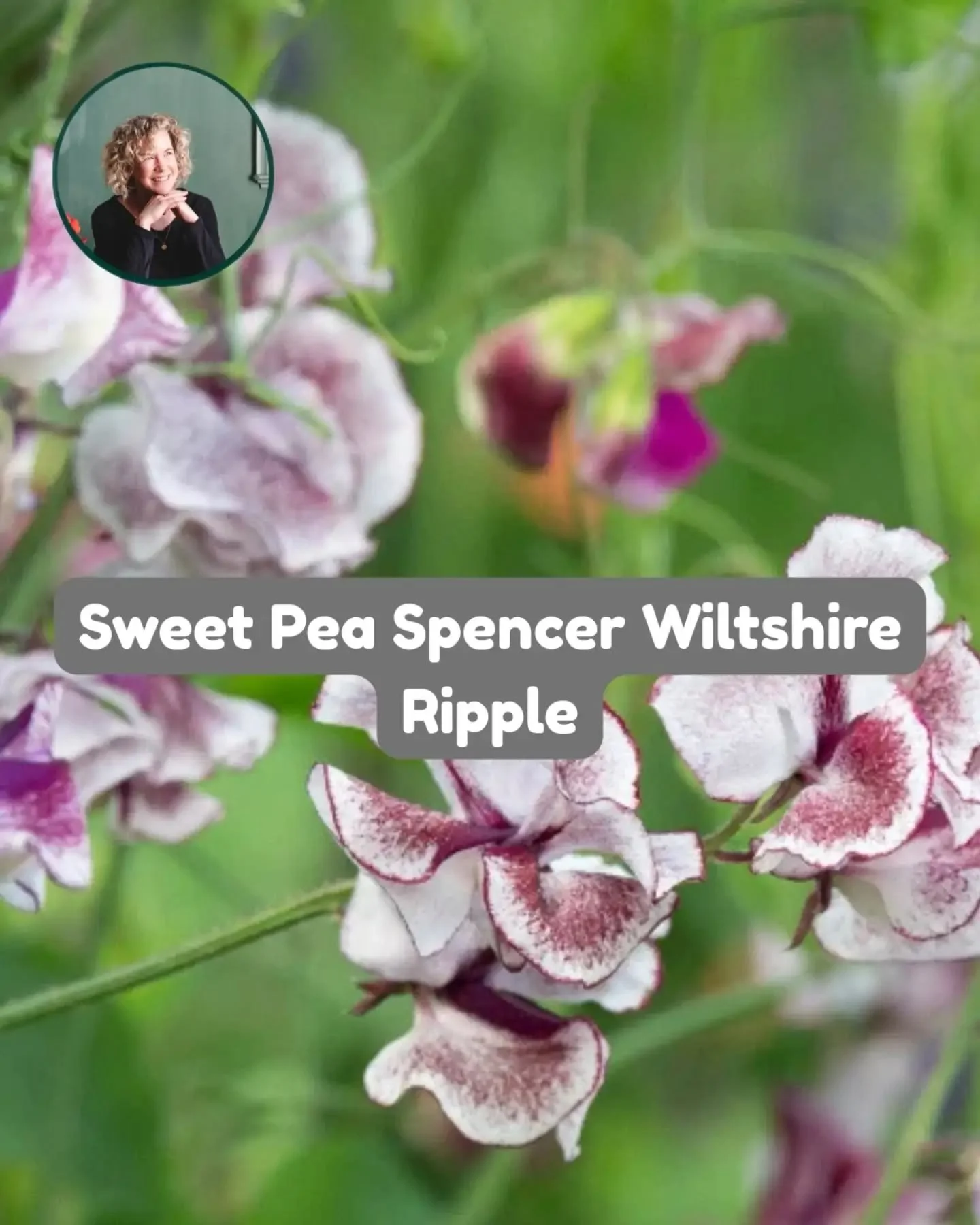 Roses are red,&nbsp;
Violets are blue,
But they didn't make
Our top picks for you,

We are truly so lucky to partner with @veggieandflowergardenseeds, and they are offering you 15% off your purchase when you use the code AGPOD15 at checkout.

Here's 