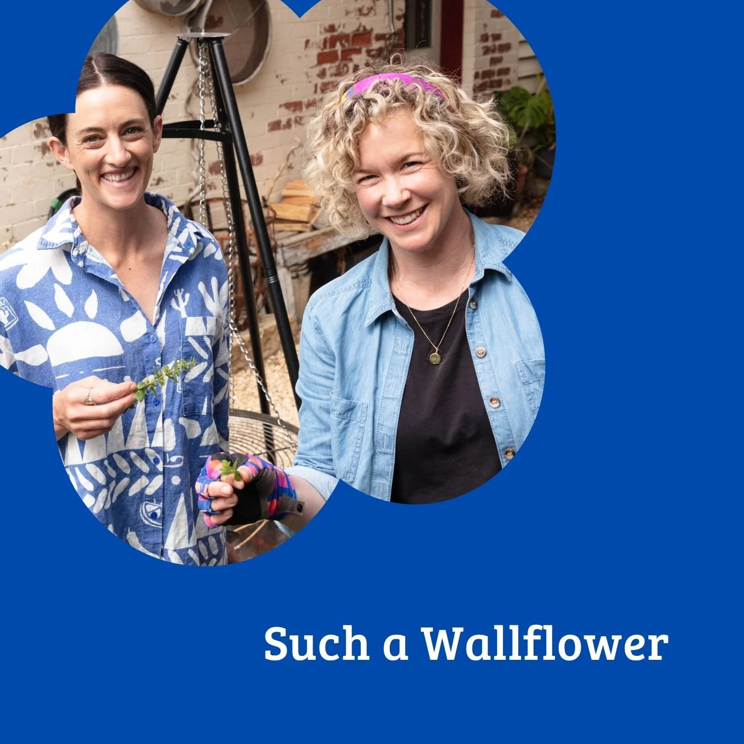 Episode 60:  Such a Wallflower // Pandan Daiquiri, Citrus, Gardening with Kids, Fat Pig Farm