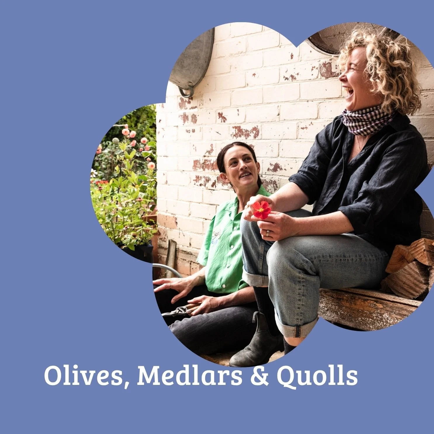 Episode 58:  Olives and Medlars and Quolls, oh my!
