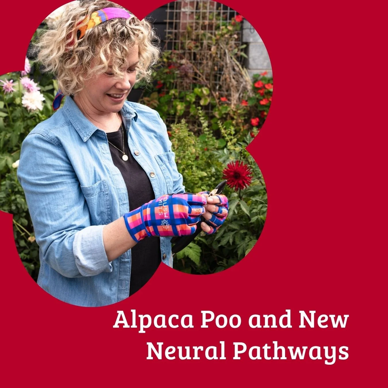 Episode 46: Alpaca Poo and New Neural Pathways