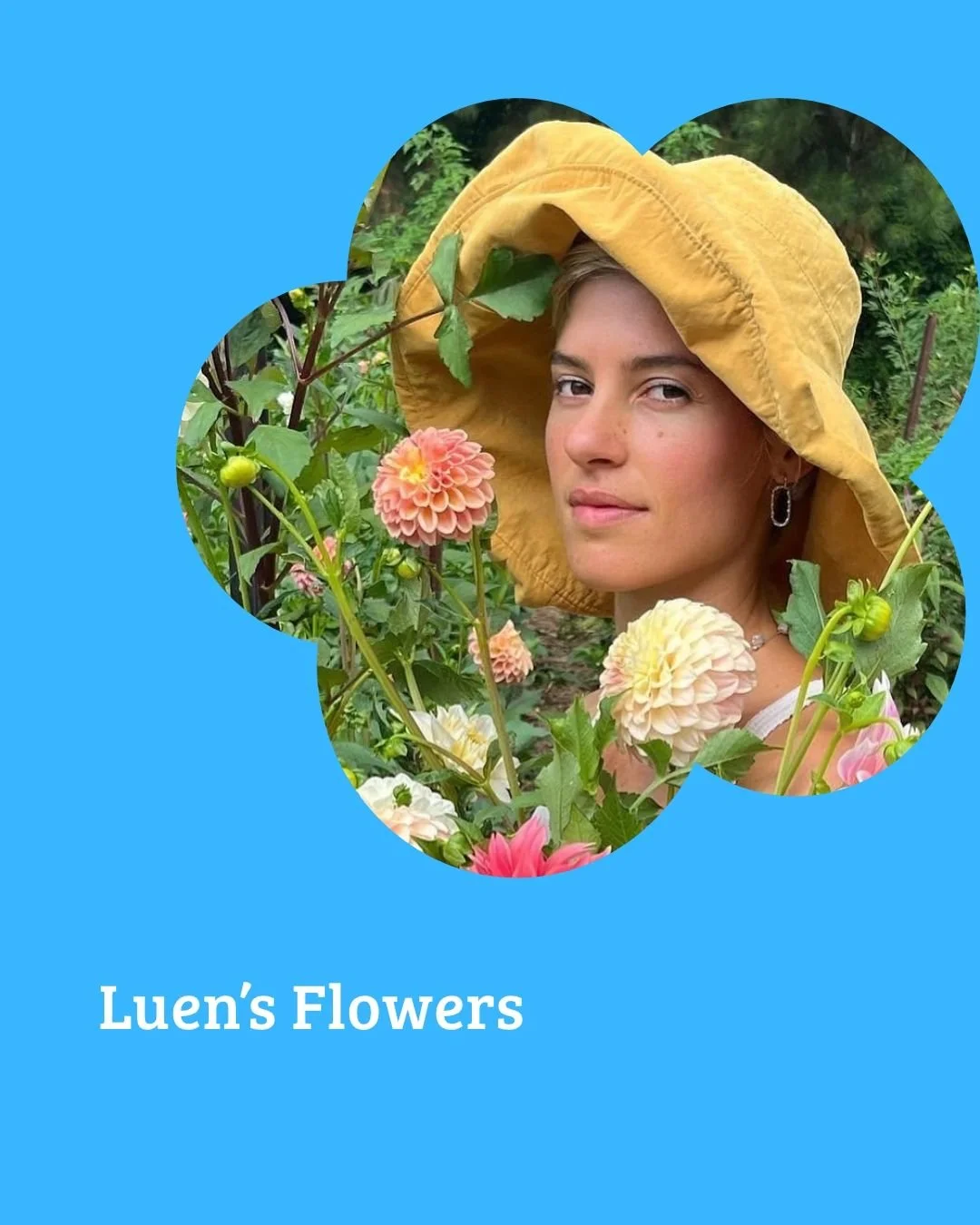 Episode 63: Luen's Flowers // Daisies, Dahlias, Roses, Flower Farming, Permaculture, Stoicism