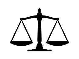 SEO vs. Curated Lists: Which One Moves the Needle?