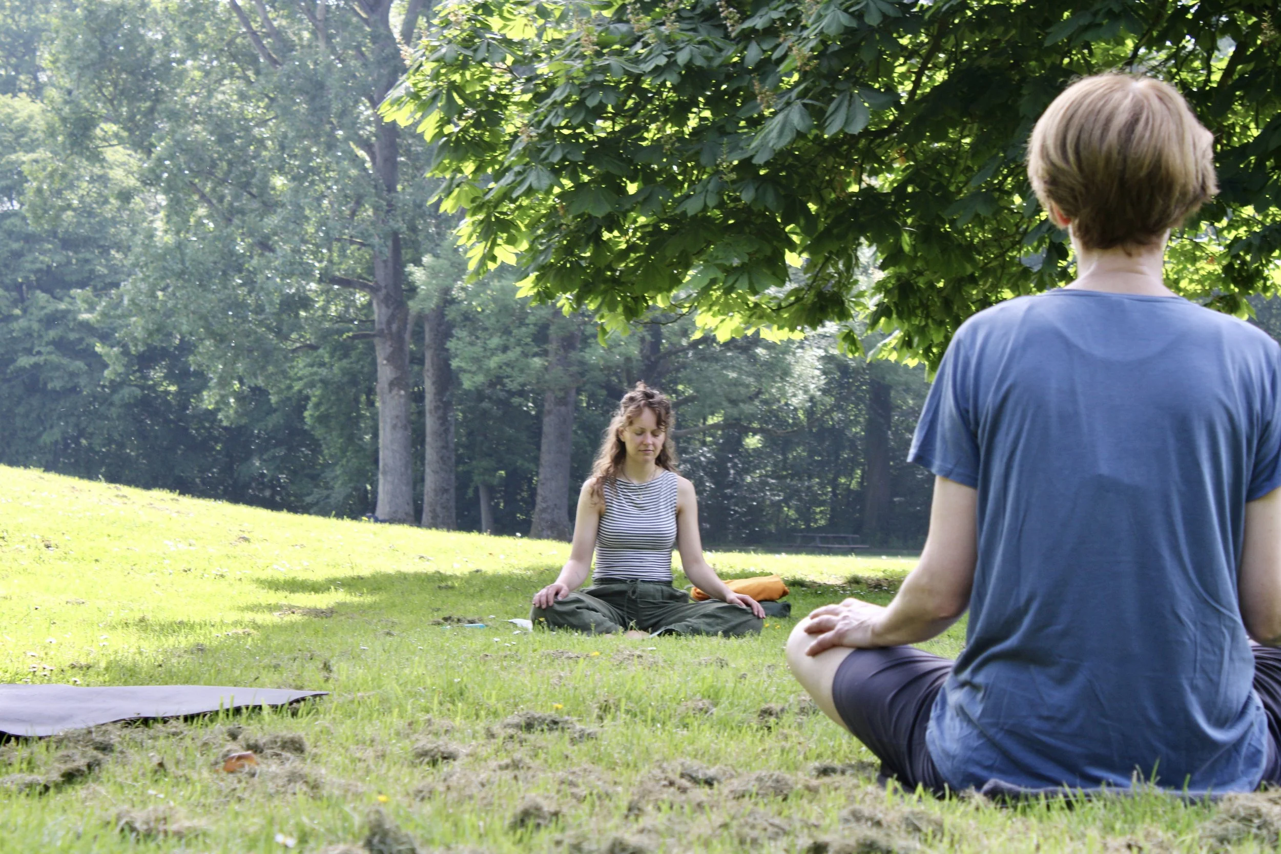 In verbinding met het bos beoefenen we yoga