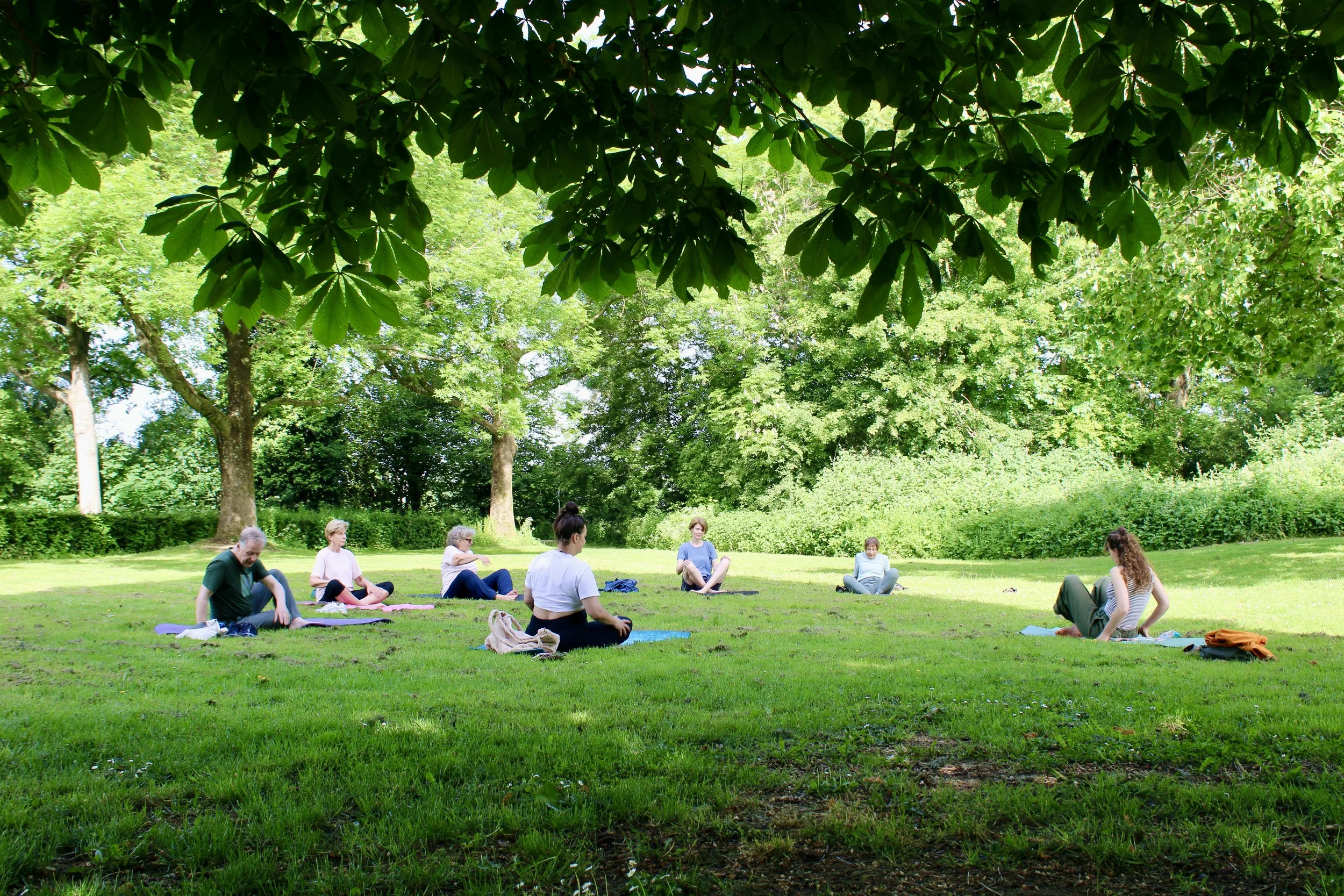 Yoga in het bos met Isa Kraai