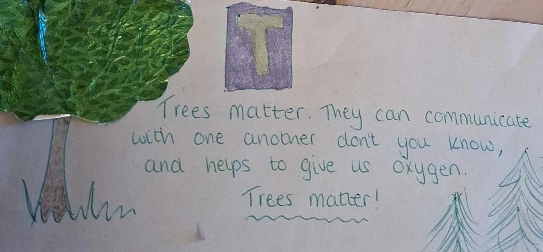 Drawing of a tree with green shiny foil for foliage and the A-Z entry for tree with some pine trees drawn in green biro as well