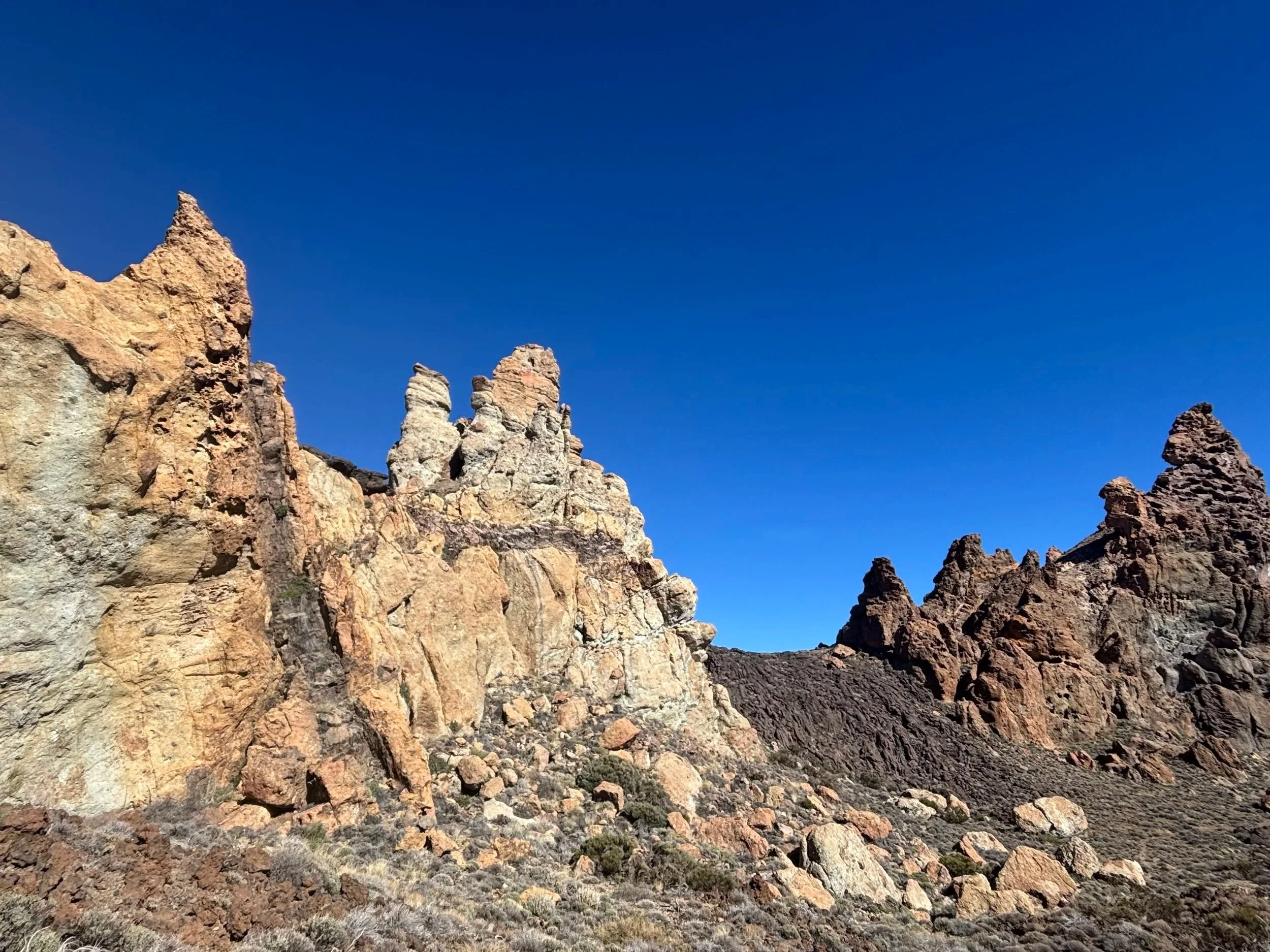 The Nervous System and the Art of Holding Space