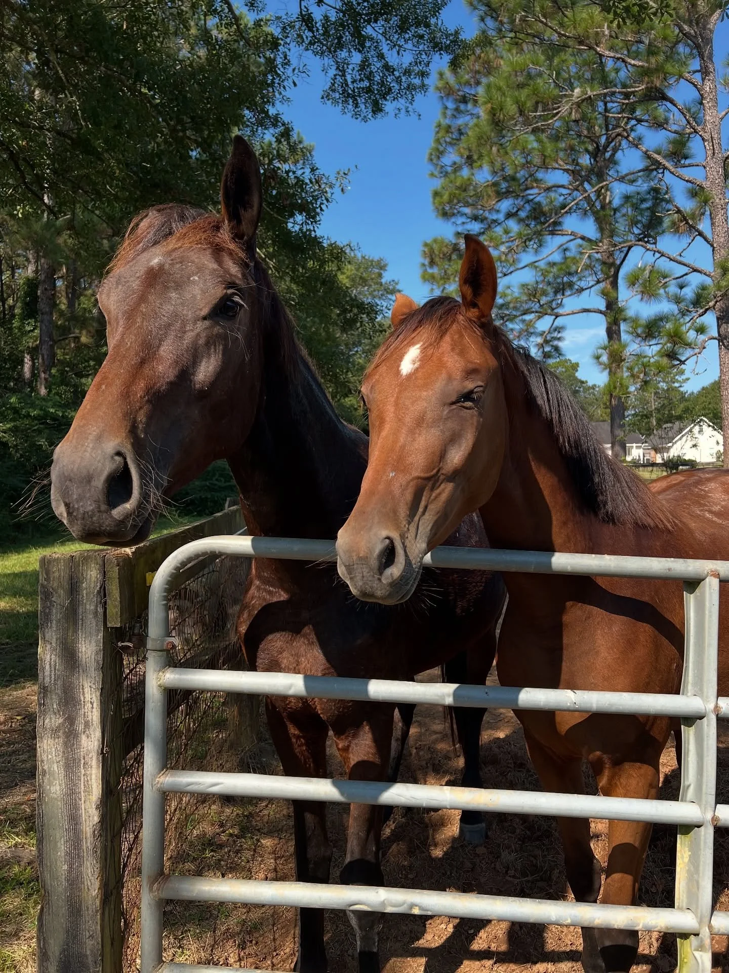 We&rsquo;re starting up something with these two amazing girls.