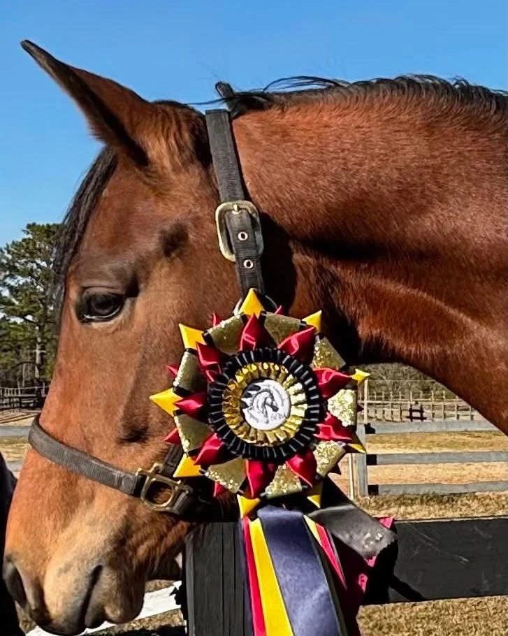 2025 was a super foundation and winning year for Rosa (Sir Sinclair x Juventus) and Kalie Beckers Dressage. Kalie and Rosa are just scratching the surface of what&rsquo;s to come.

KWPN - NA and Westfalen DNA and foalbook and mare book. 

🐴 Rosa (co
