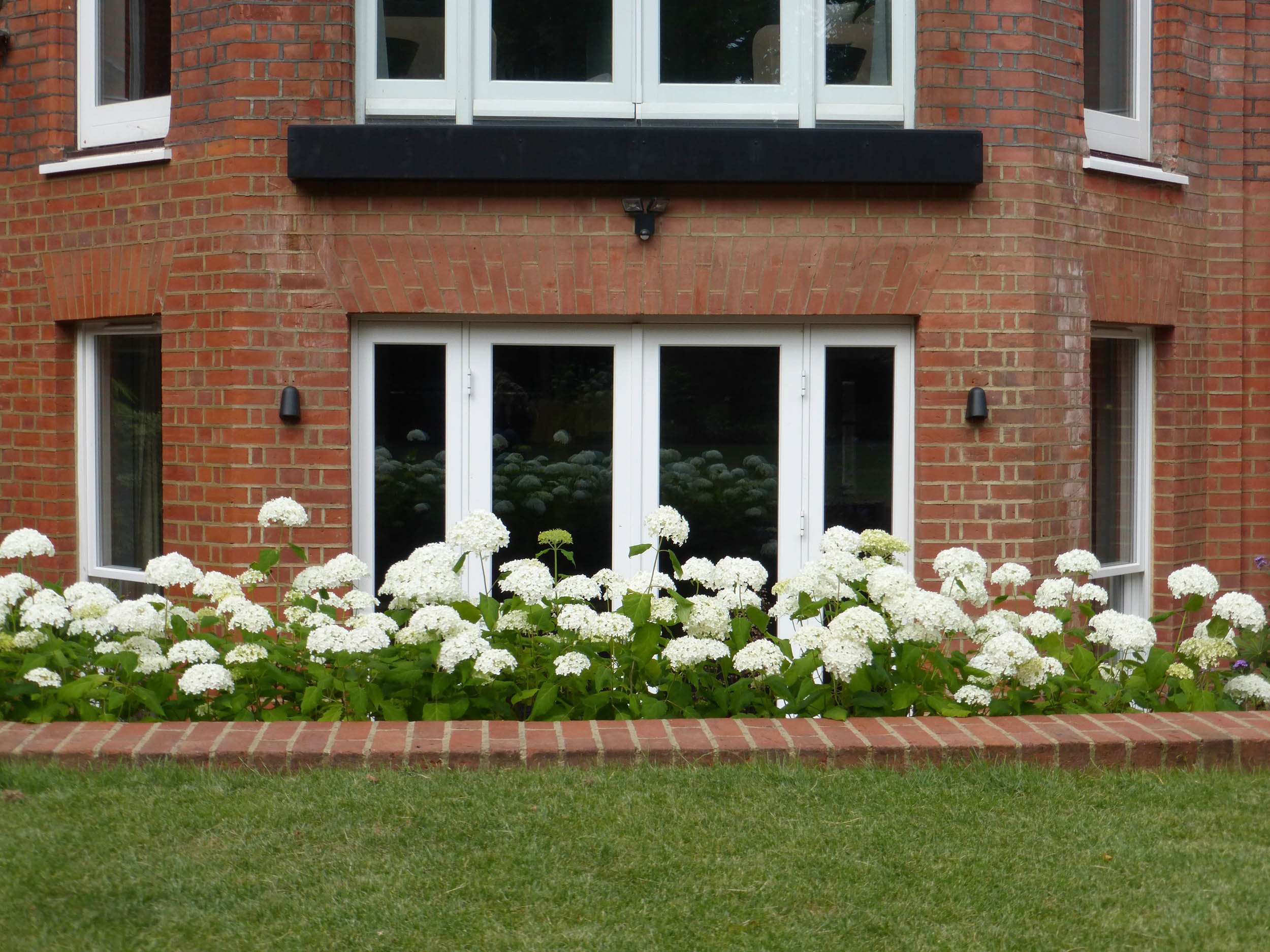 garden planting design Belsize Park
