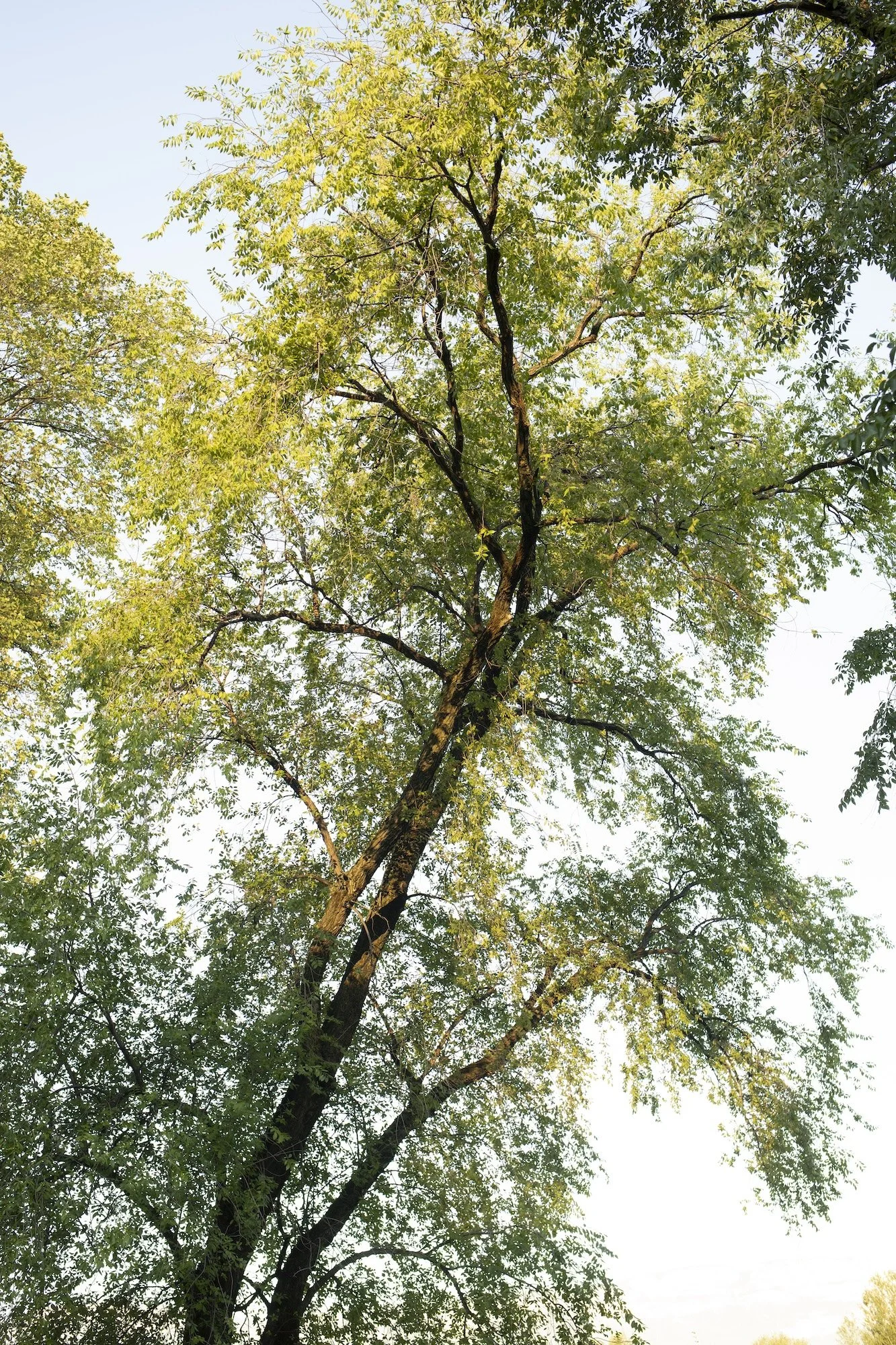 68.jpg