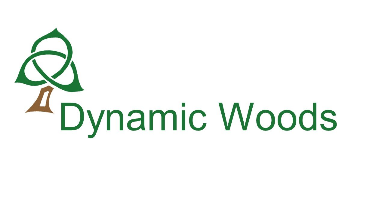 Dynamic Woods  