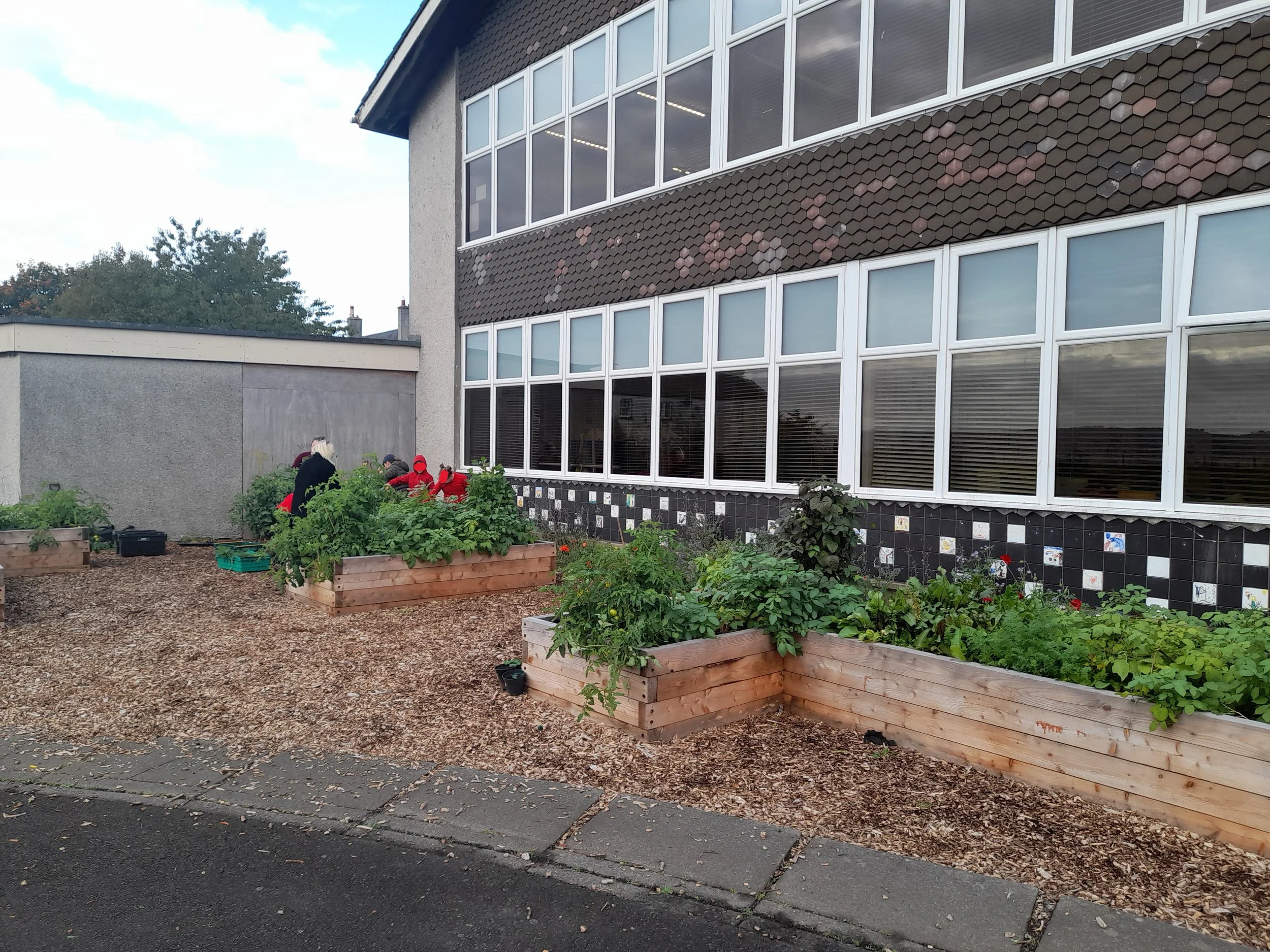 Picture of School Planters