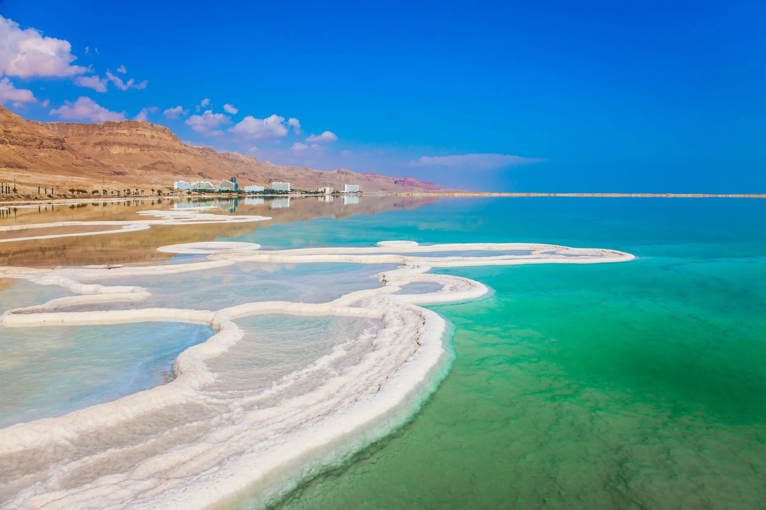 shutterstock_1081352828-min.jpg