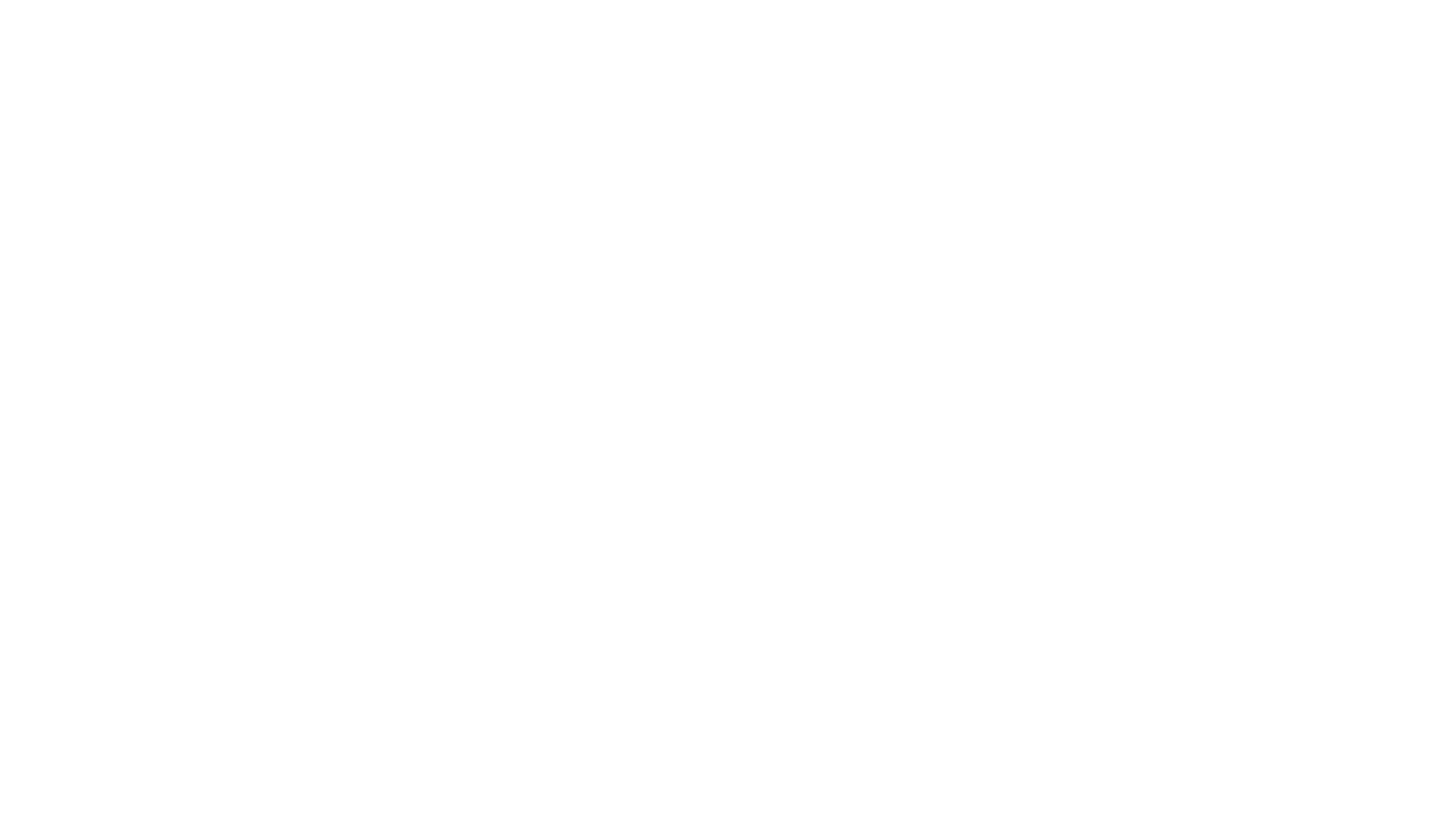 The FranklinHUDSON logo featuring a silhouette of a ladybug above the text 'FranklinHudson' and the subtitle 'Master of Business Administration' in white on a black background.