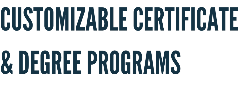 Custom Programs in Global Hubs — Franklin Hudson - The International ...