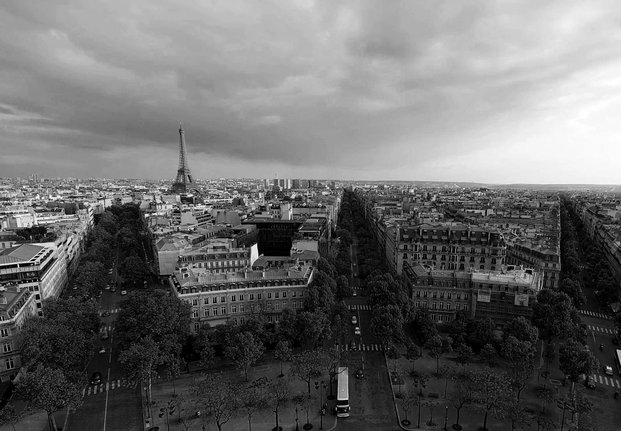 Black and white photo of Paris, with the Eiffel Tower in the distance, surrounded by city streets and trees.