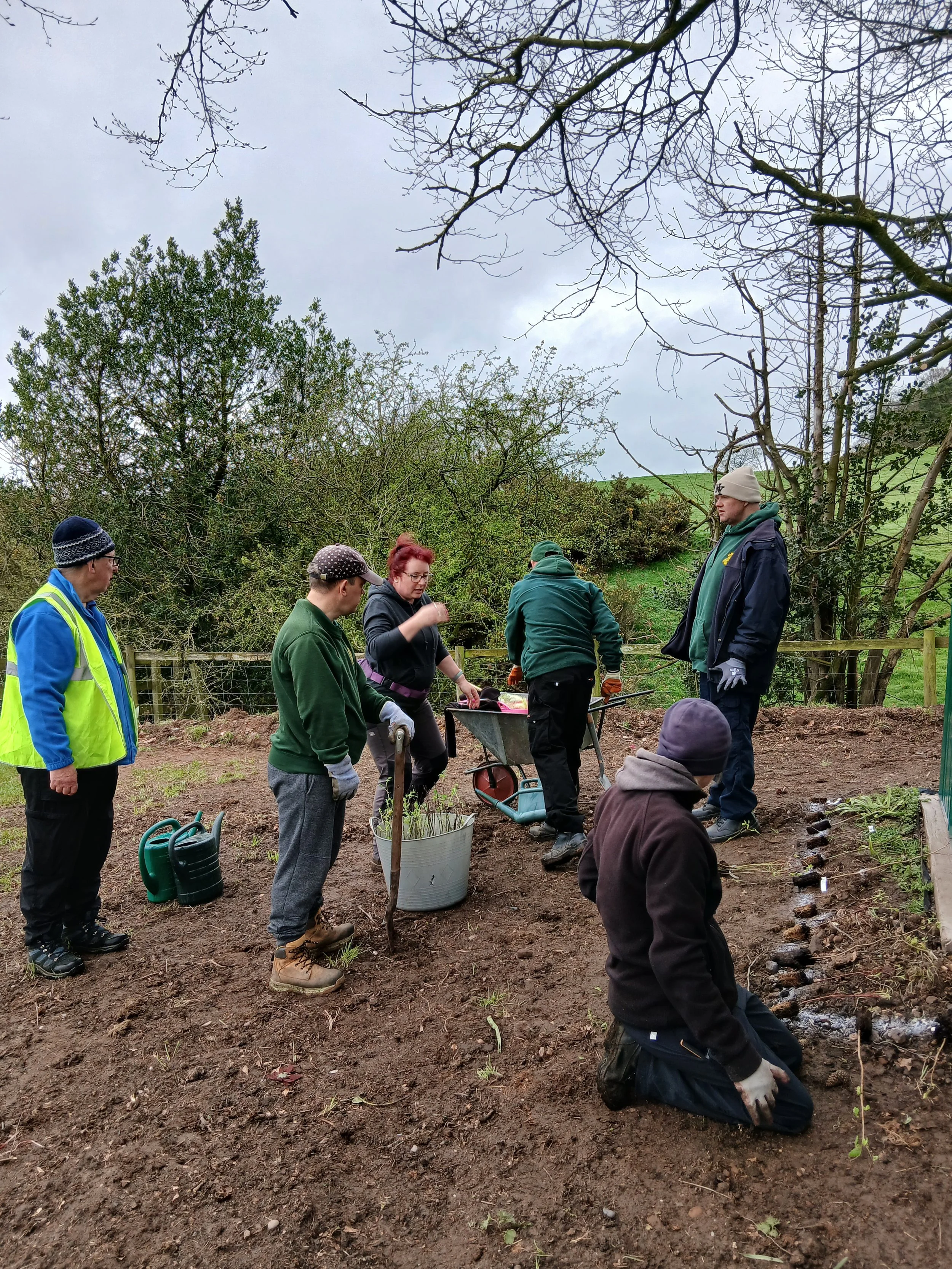 Hedge Planting with Oak Tree Farm Rural Project