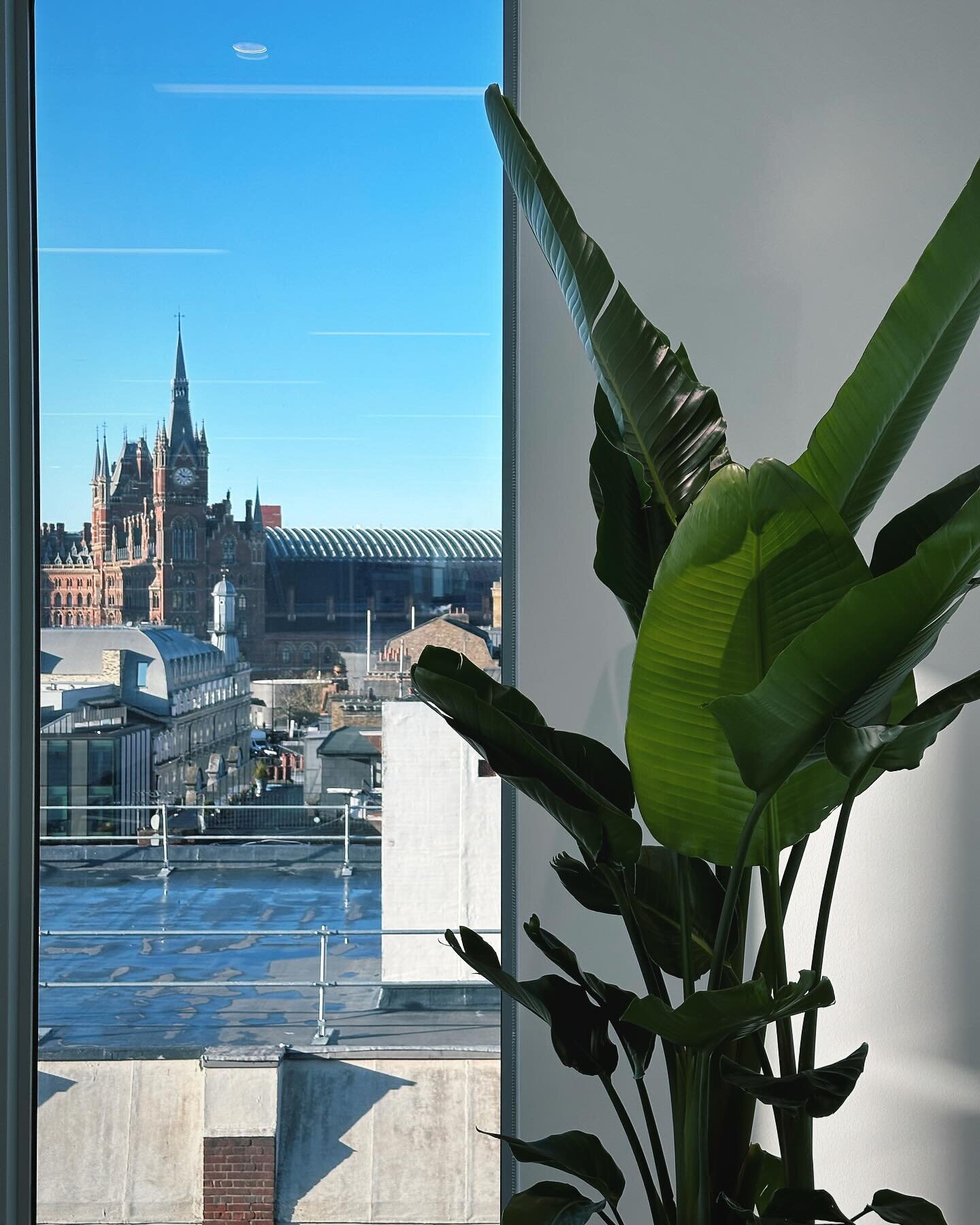 As a team of gardeners we often comment on how we could never work inside, but I have to say we have been installing interior plants in some fabulous offices recently and it&rsquo;s got us all second guessing our preconceptions&hellip;offices are rea