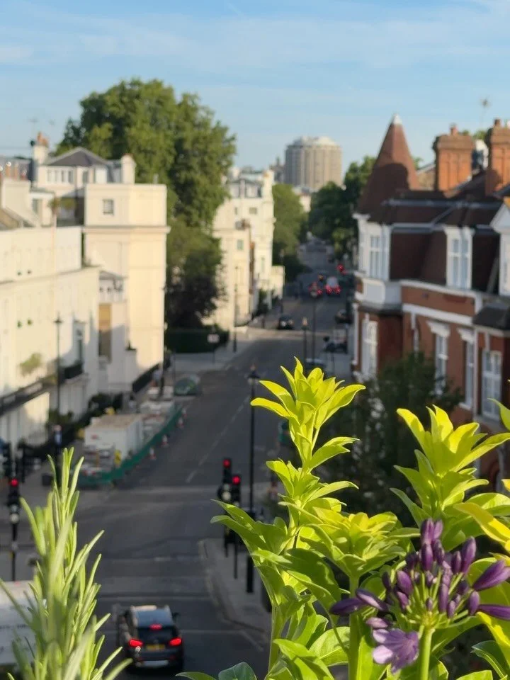 Creating a green oasis above Belgravia