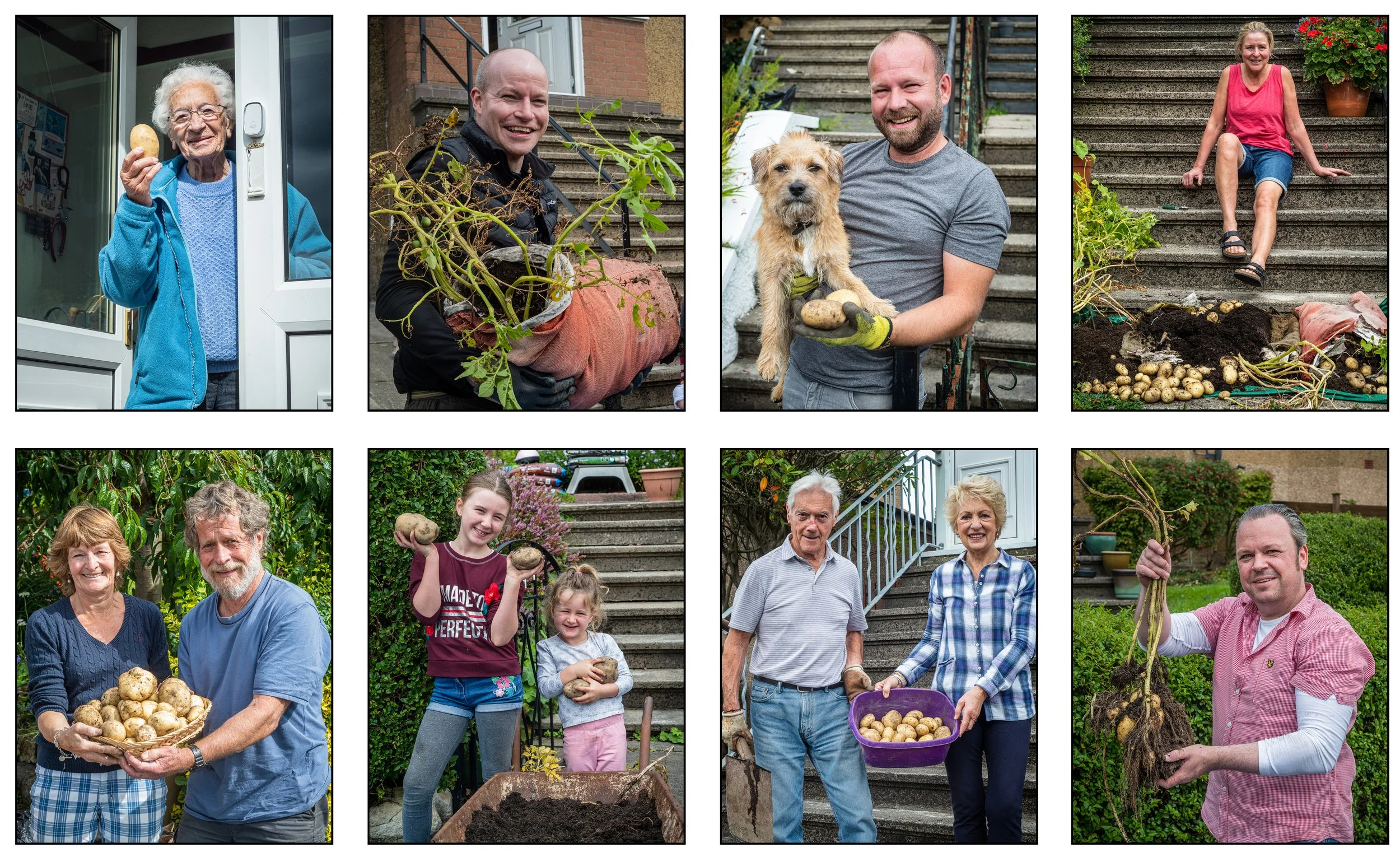 Community project during lockdown where residents grew potatoes in their gardens .