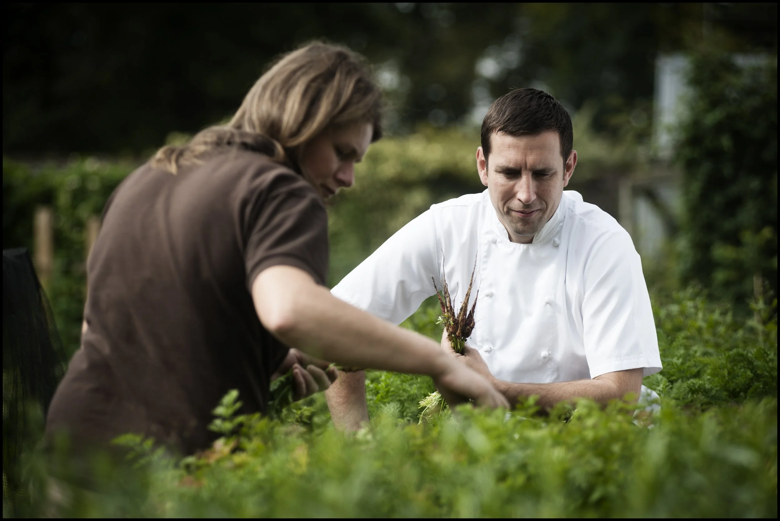 Andrew Fairlie's organic garden
