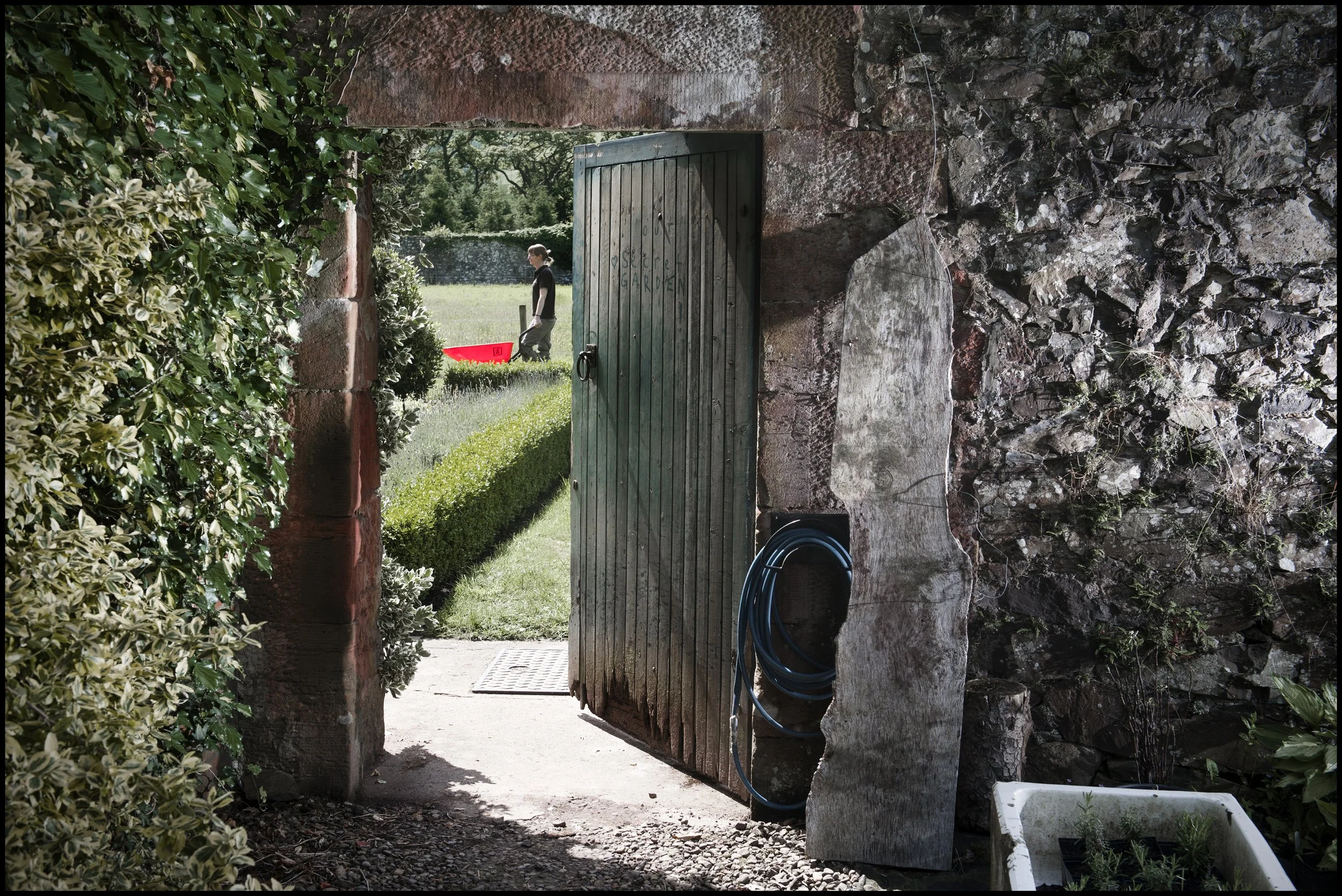 Andrew Fairlie's organic garden