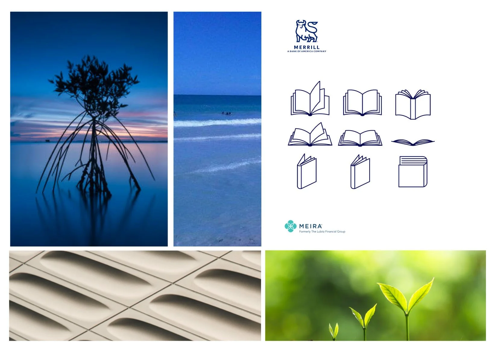 Inspiration images: Mangrove,  book, curved architecture detail, growing plant.