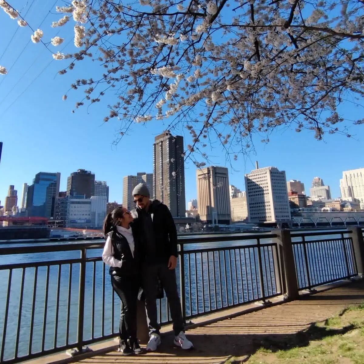 Cherry blossoms and blue skies in NYC