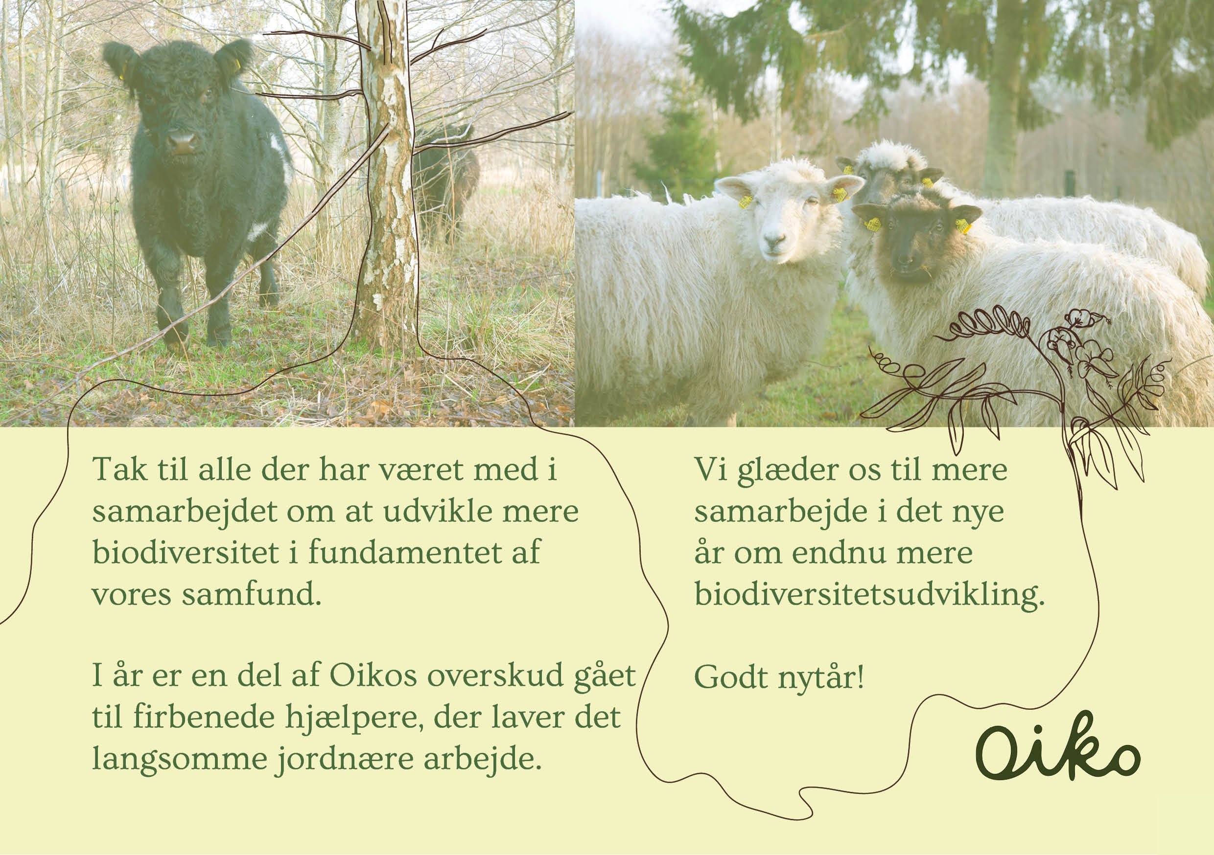 Oiko 2025 opsummering5.jpg