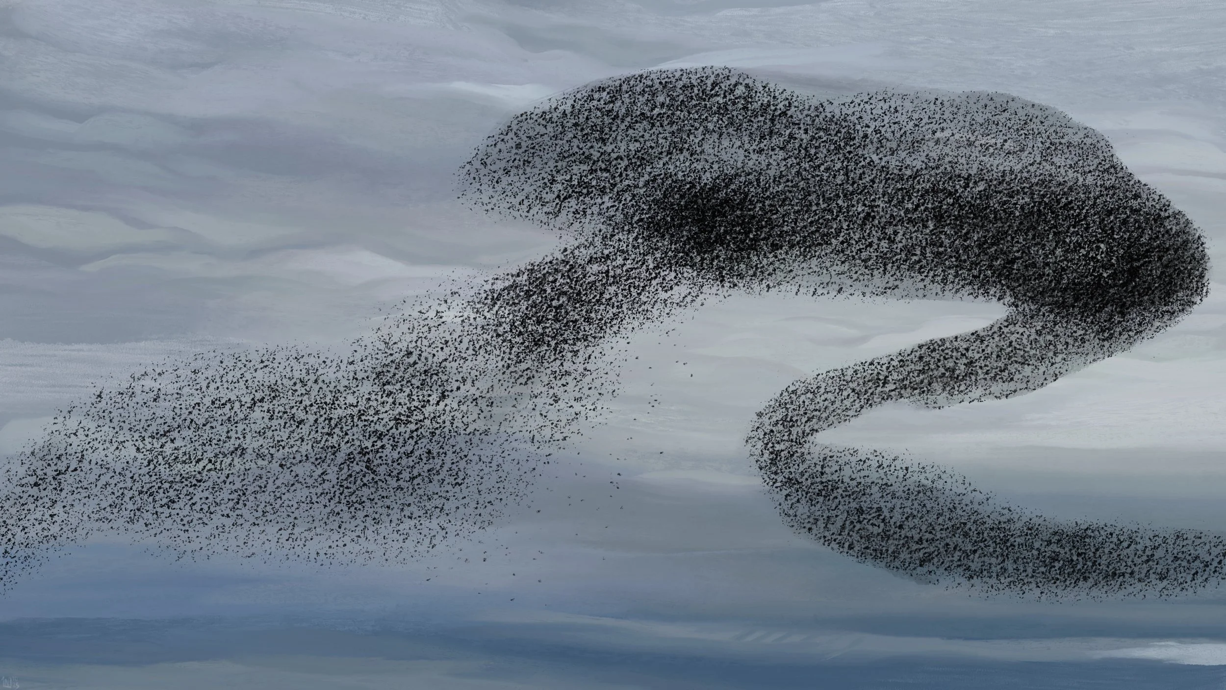 Digital painting of a grey, cloudy sky, filled with a large murmuration composed of two parts joining in the middle. The clouds in the background are slightly wavy, bluish at the bottom of the frame.