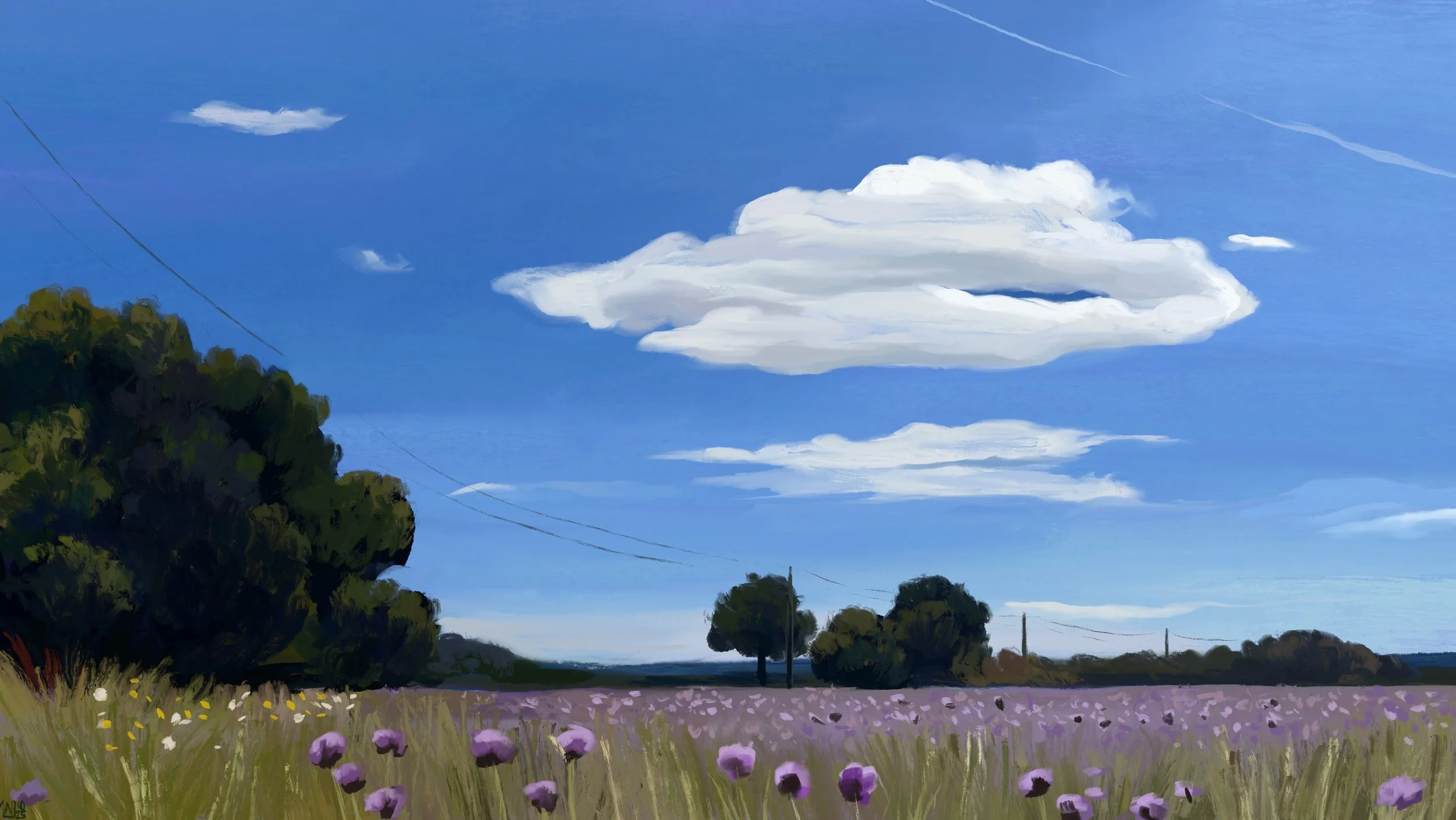 Digital painting of a purple flower field, with a few yellow and white flowers to the side. There are tall trees around the field, and phone lines running across. The sky is a bright blue, with a few long white clouds scattered there.