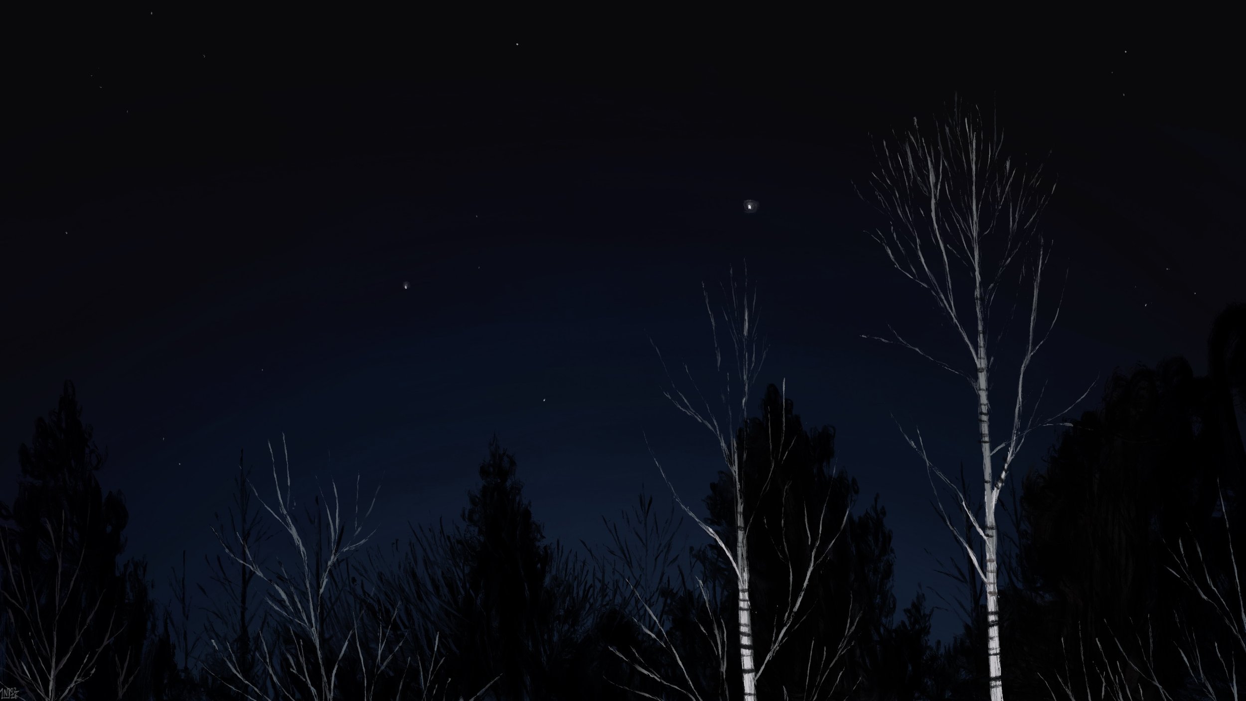 Digital painting of a night scene: a dark blue sky, with dark trees in the background, and white birch trees lit by headlights in the foreground. There are a few stars in the sky.