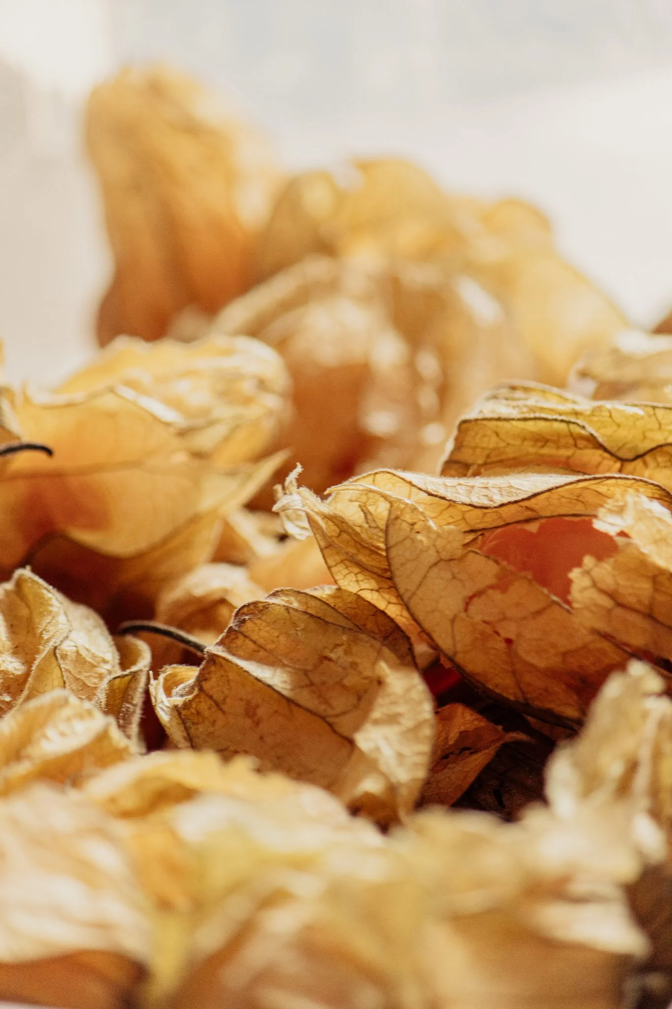 Autoportrait 1-954.jpg