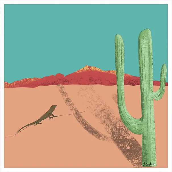 Desert Lizard