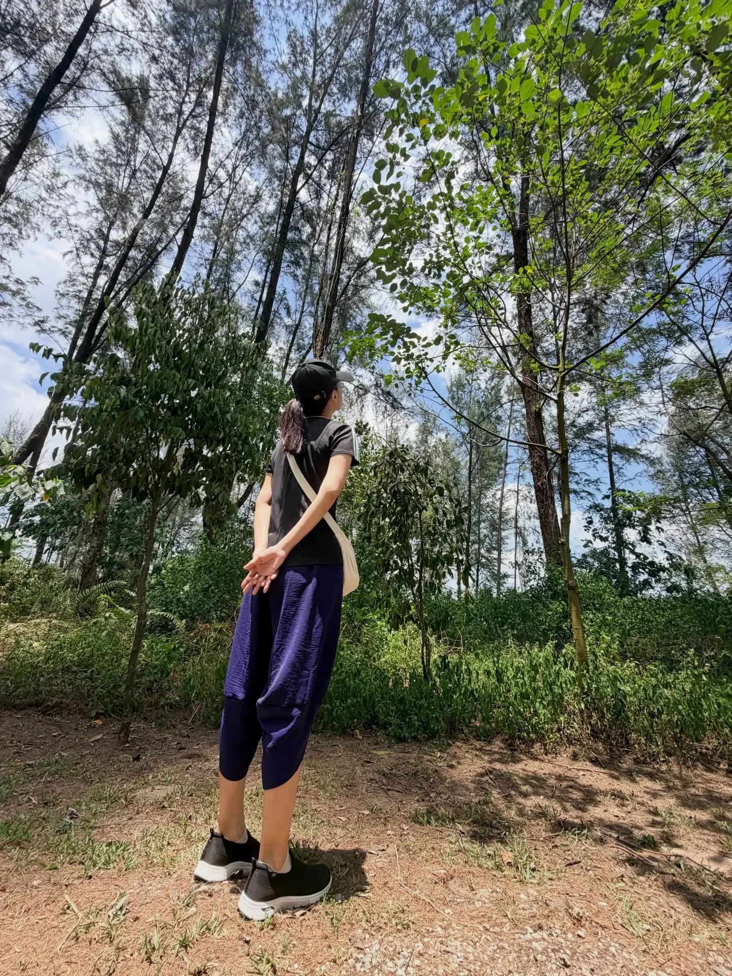 昨天进入春分
白天和黑夜一样长

是一年里
最平衡的时候

如果最近有点累
或身体不太舒服

可以去大自然走一走
踩踩土地
采一点地气

大自然会慢慢把你拉回来
让身体放松
让心安下来

人也会舒服一点