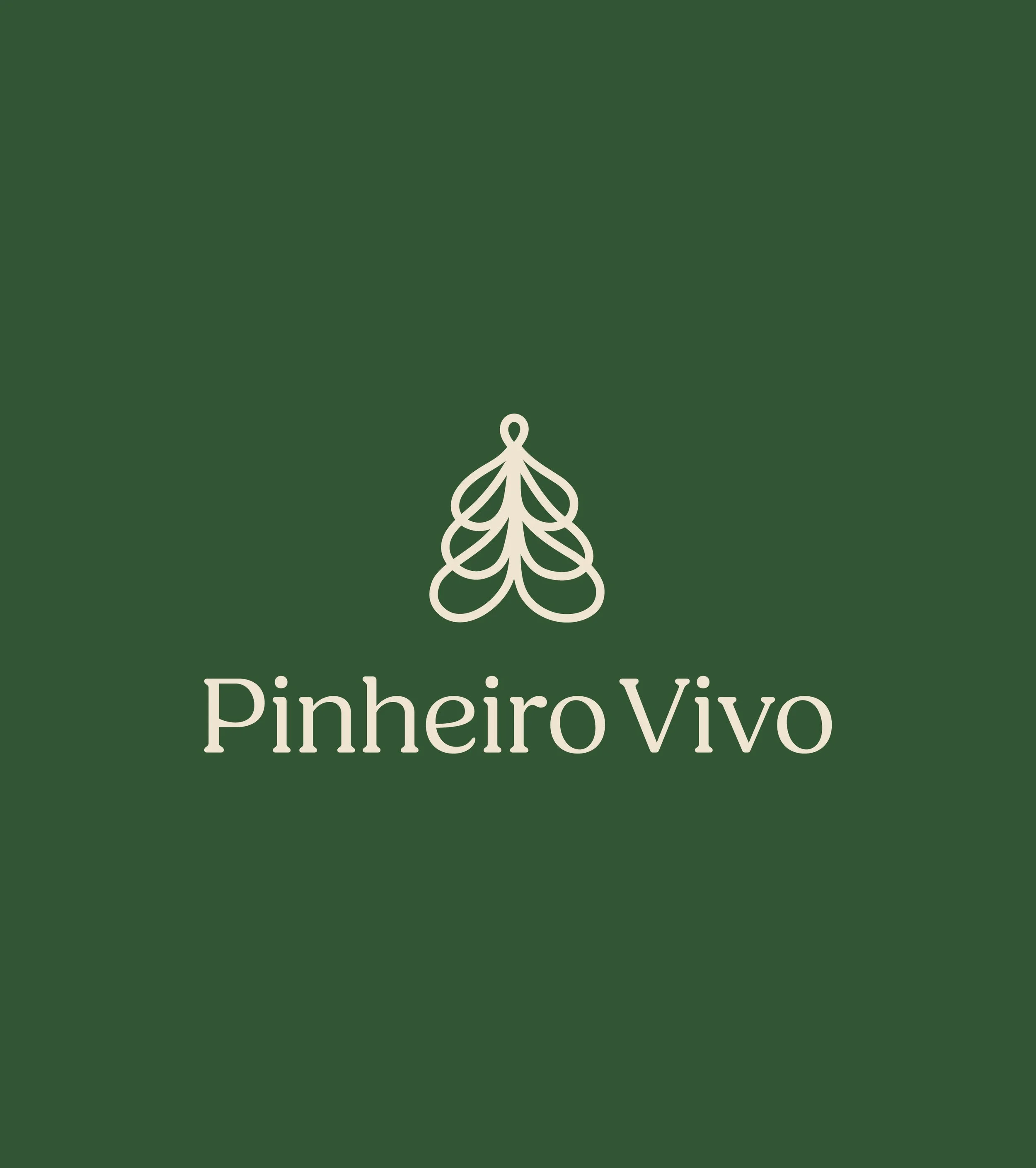 pinheiro vivo.jpg