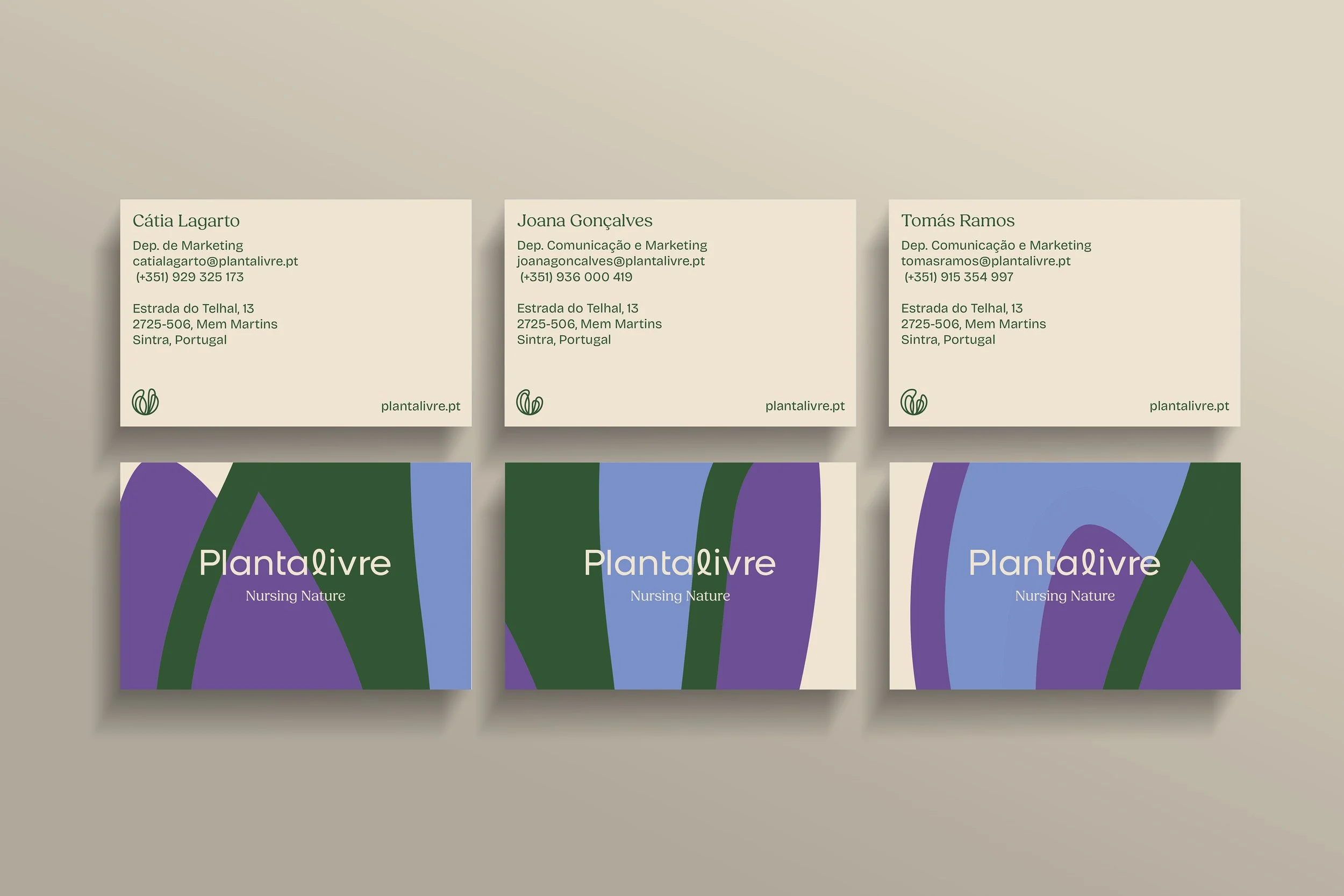 cartoes conjunto.jpg