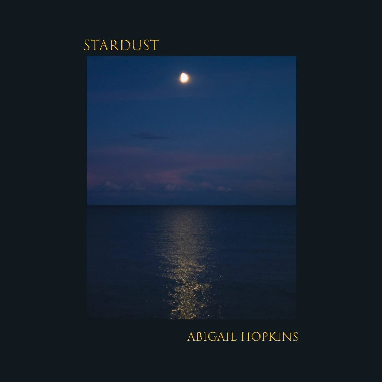 Abigail Hopkins - Stardust.jpg