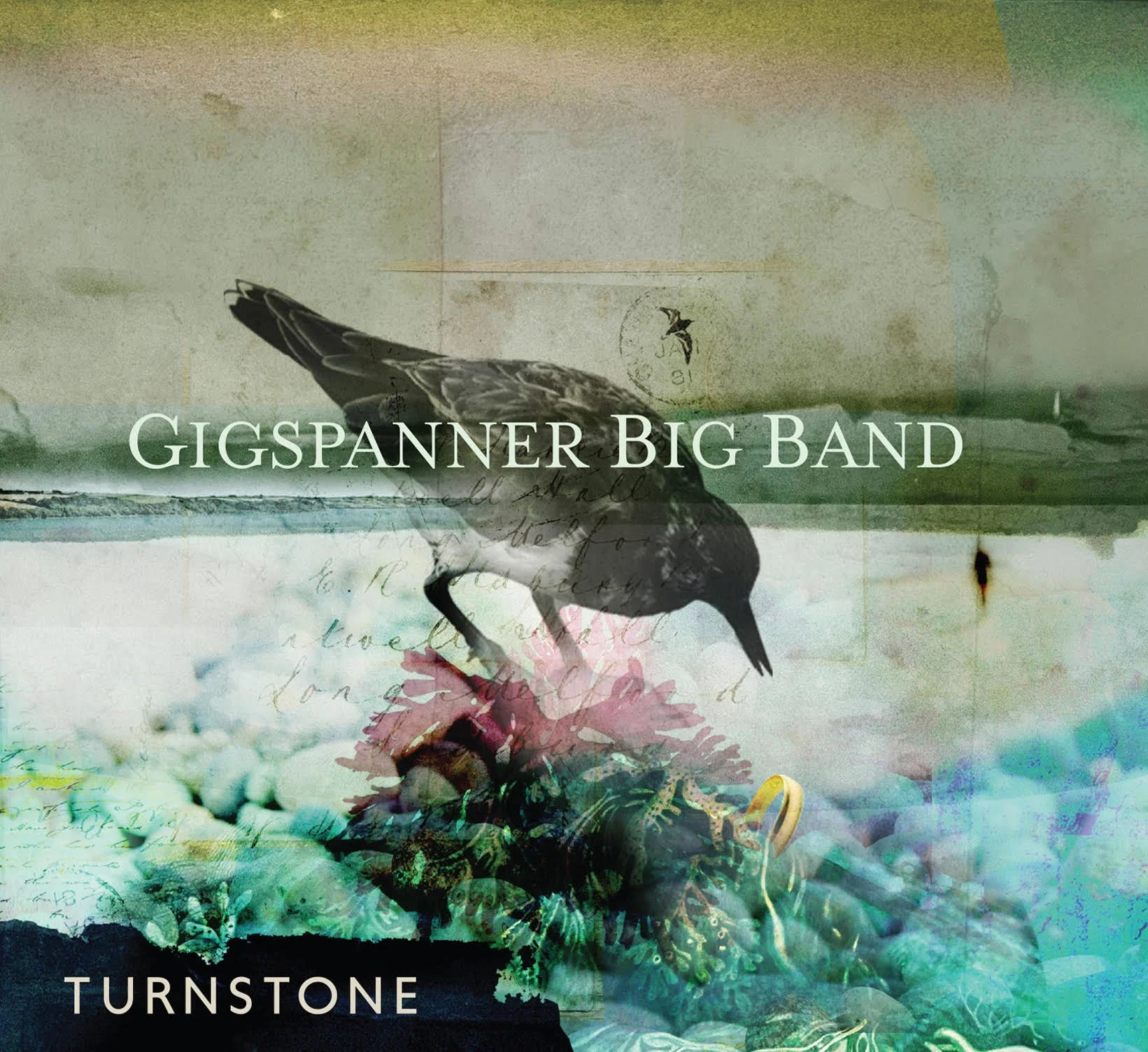 Gigspanner Big Band - Turnstone.jpg
