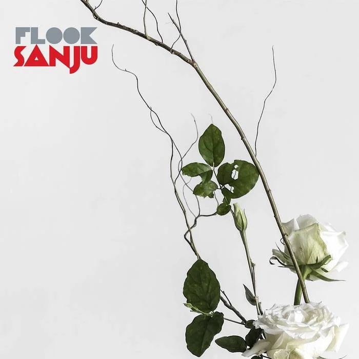 sanju.jpg